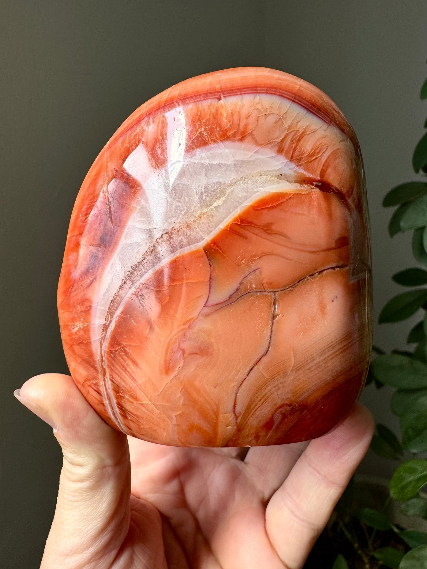 CARNELIAN FREEFORM