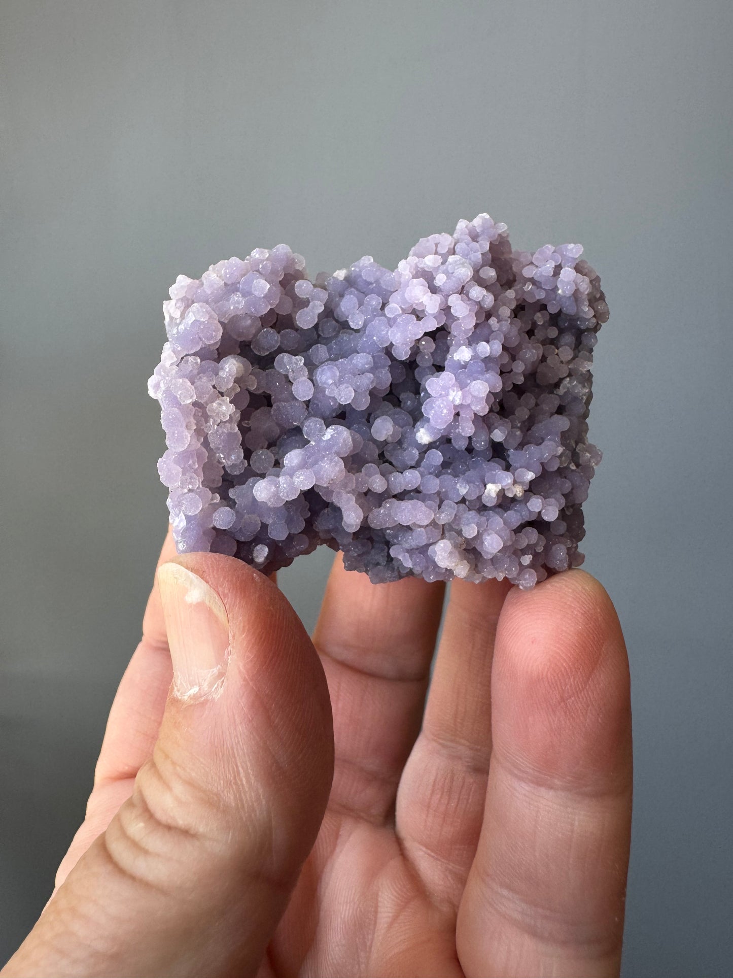 GRAPE AGATE (CI22)