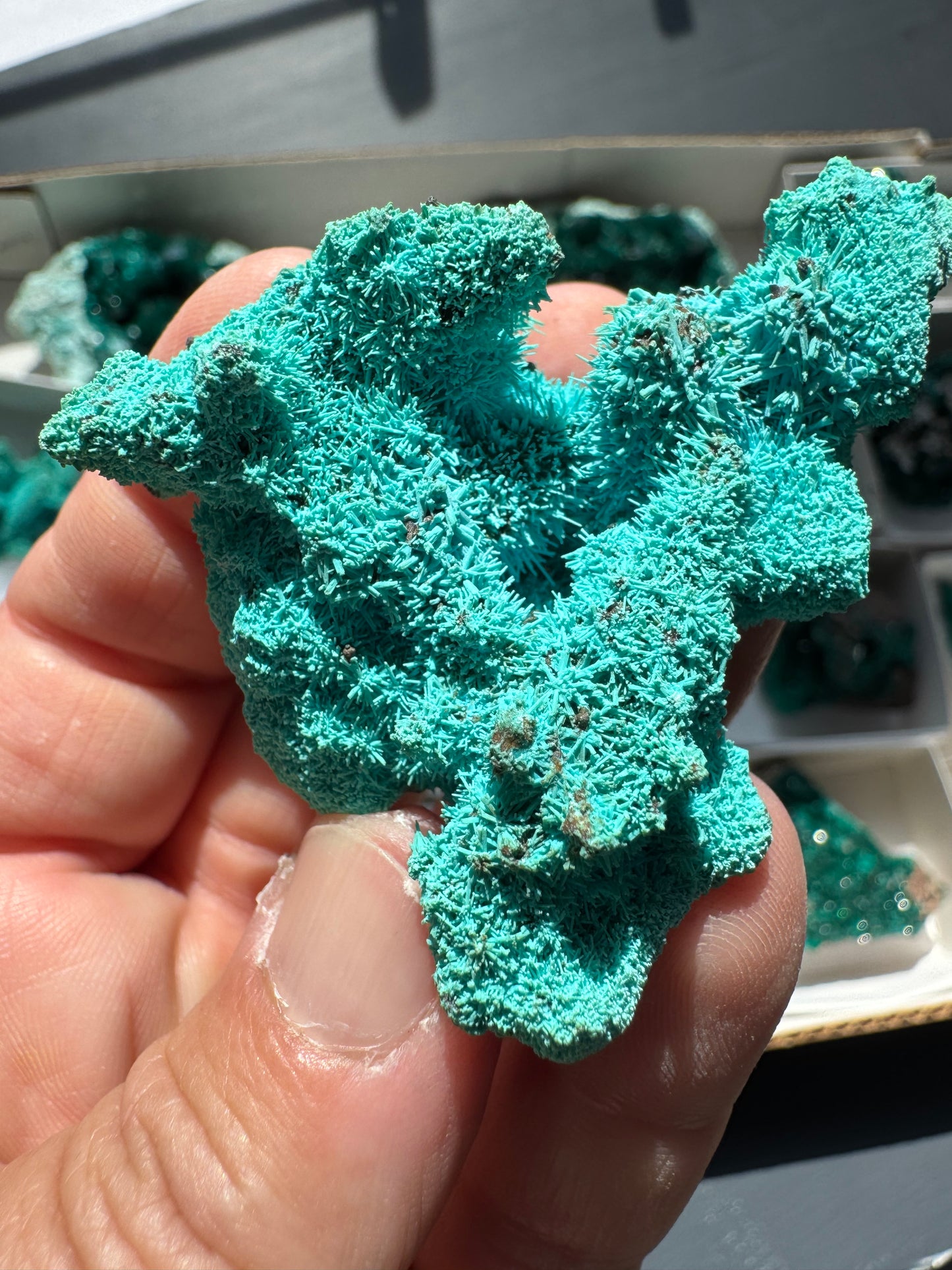 CHRYSOCOLLA PSEUDOMORPH (DI51)