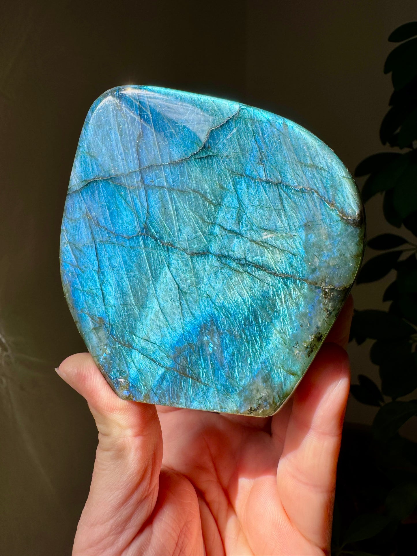 LABRADORITE FREEFORM