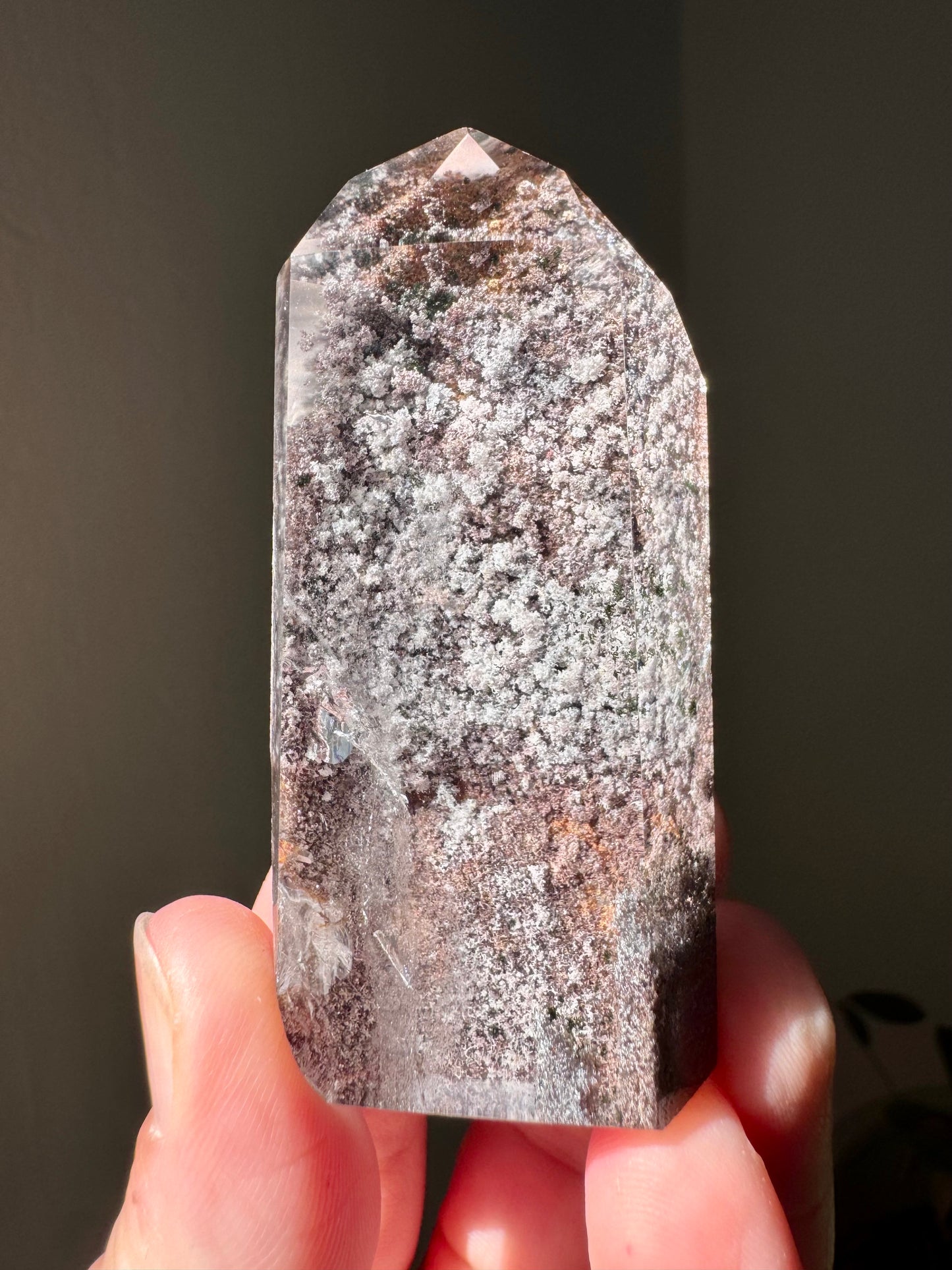 GARDEN QUARTZ WITH LODOLITE