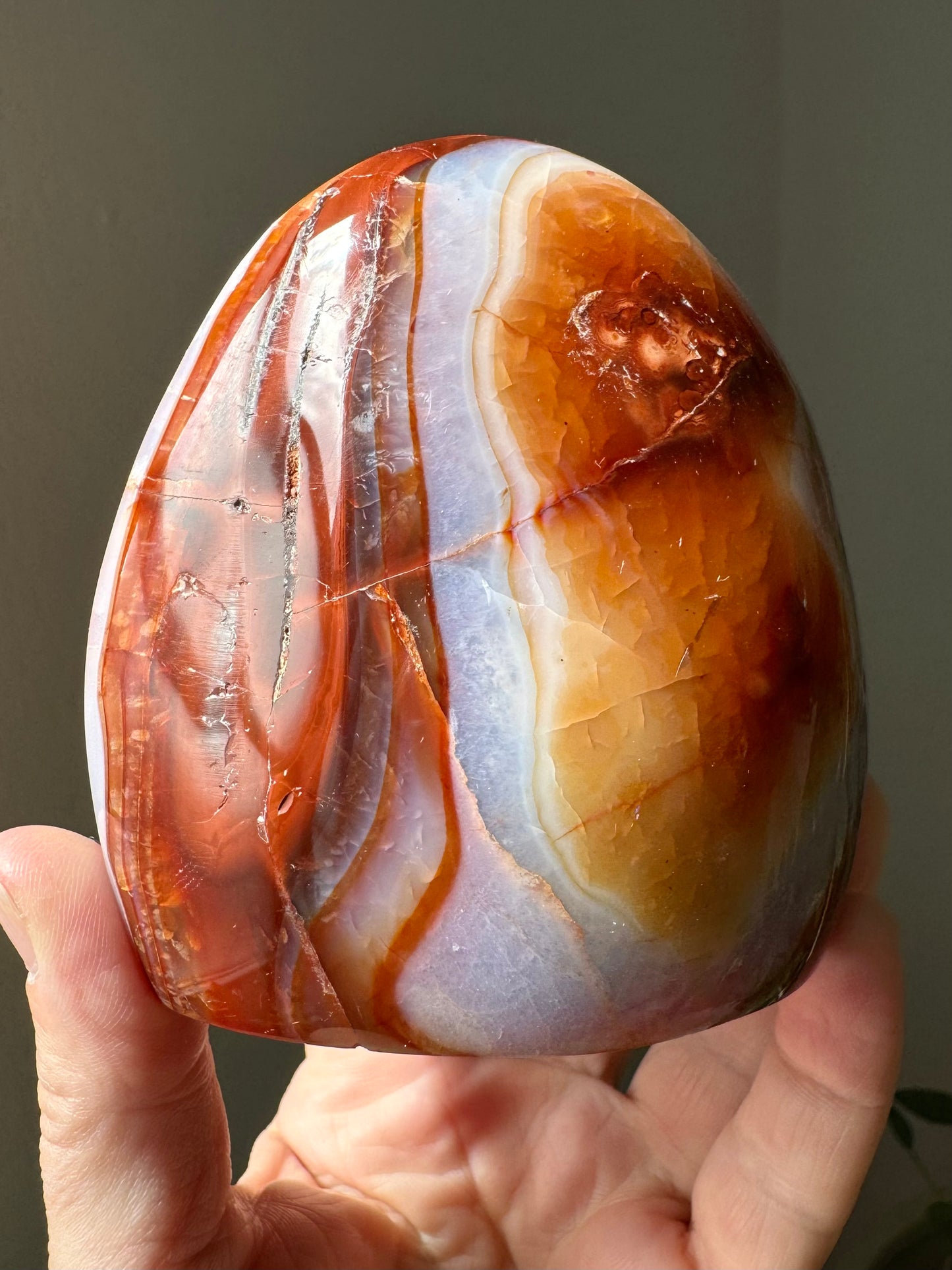CARNELIAN FREEFORM