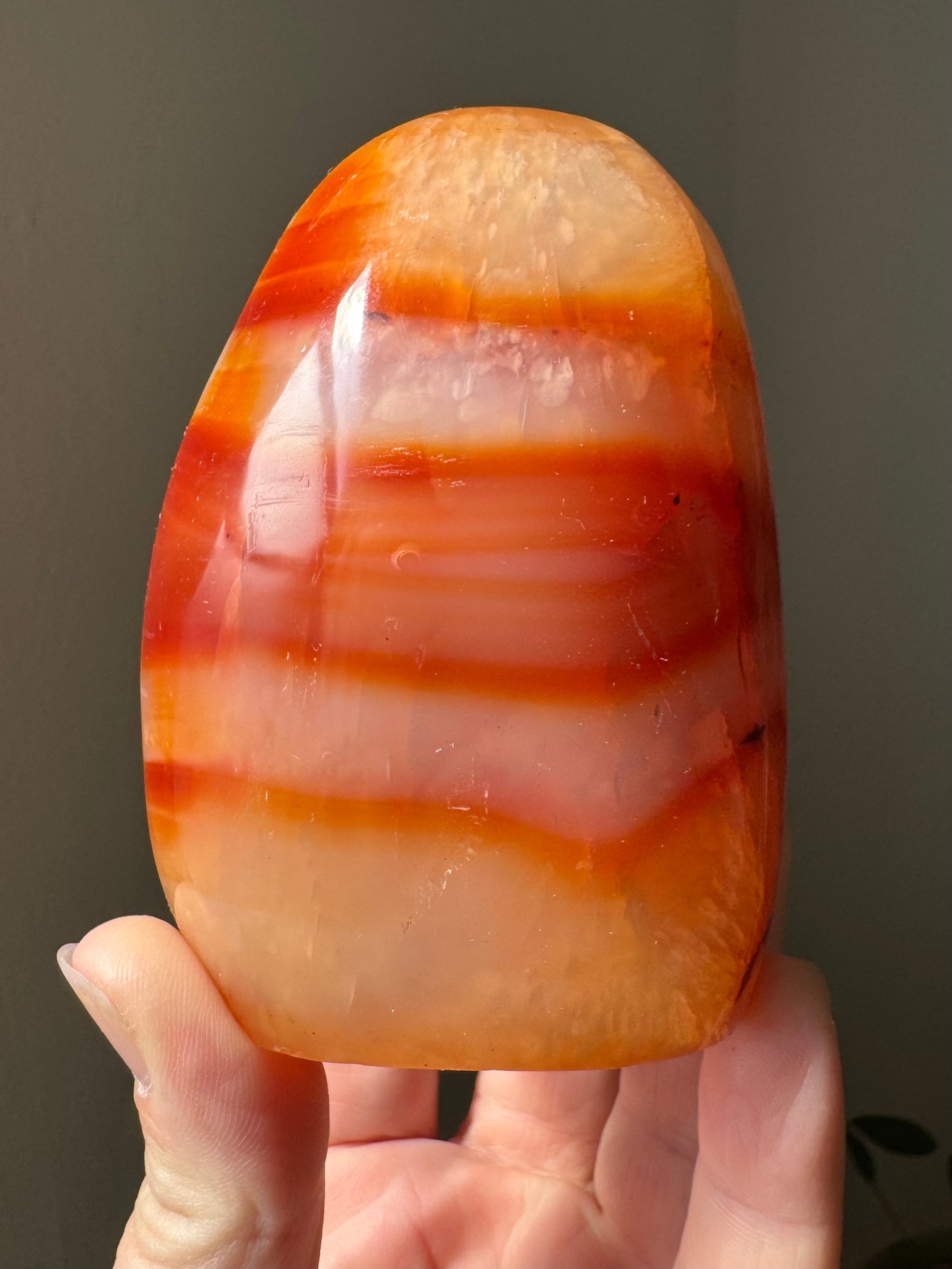 CARNELIAN FREEFORM