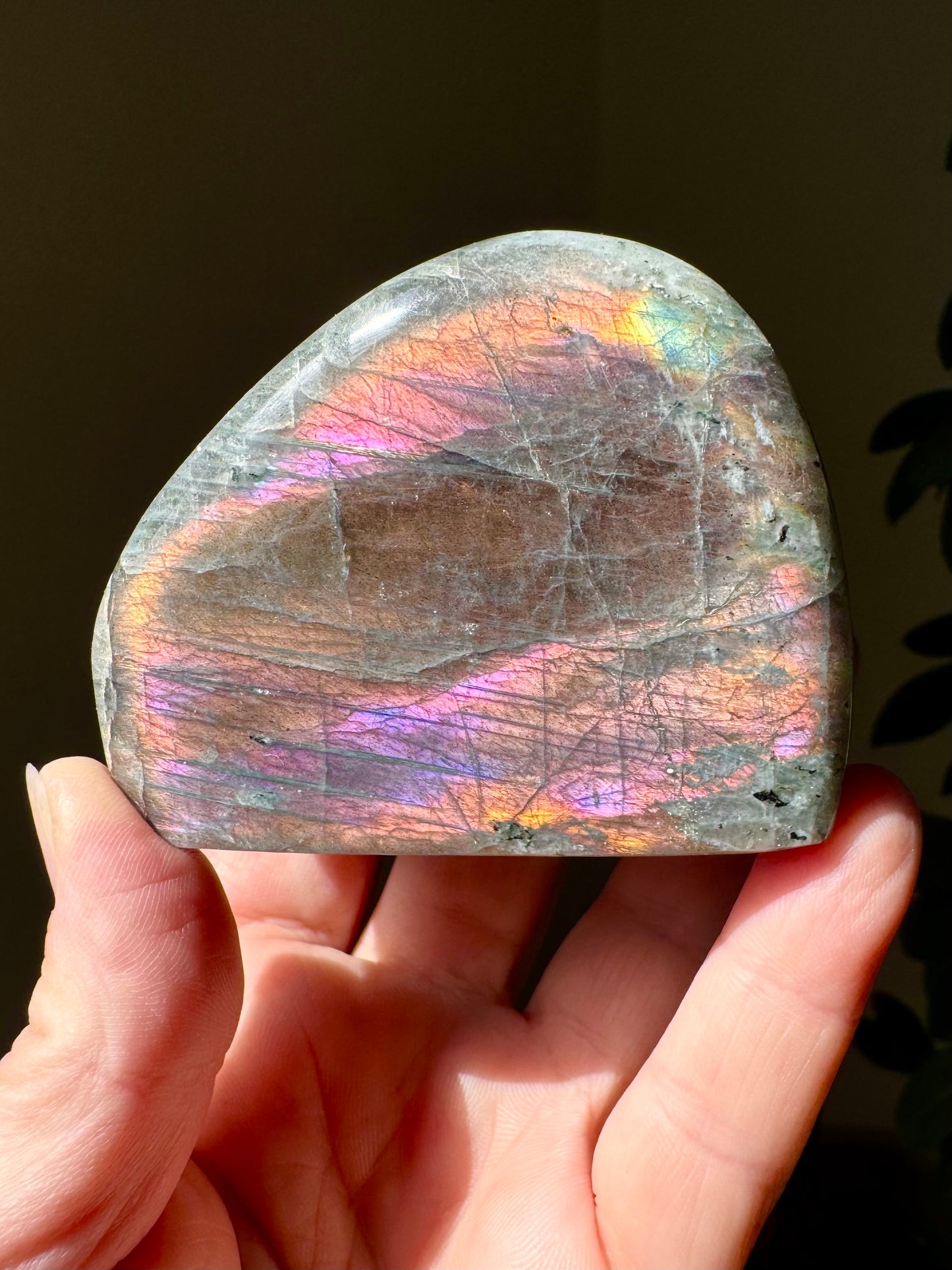 LABRADORITE FREEFORM