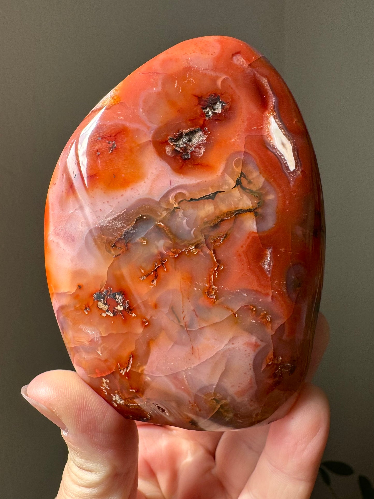 CARNELIAN FREEFORM