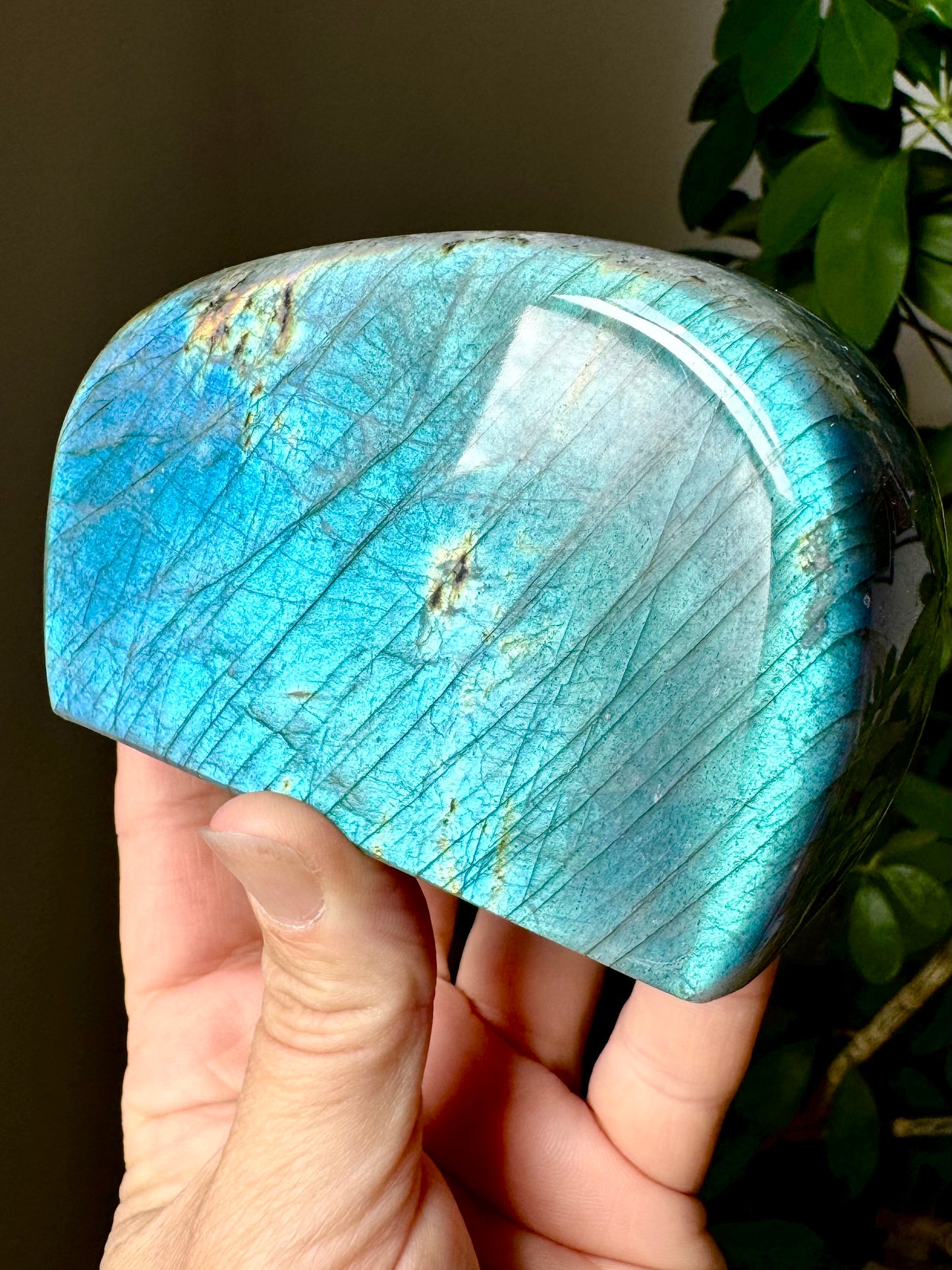 LABRADORITE FREEFORM
