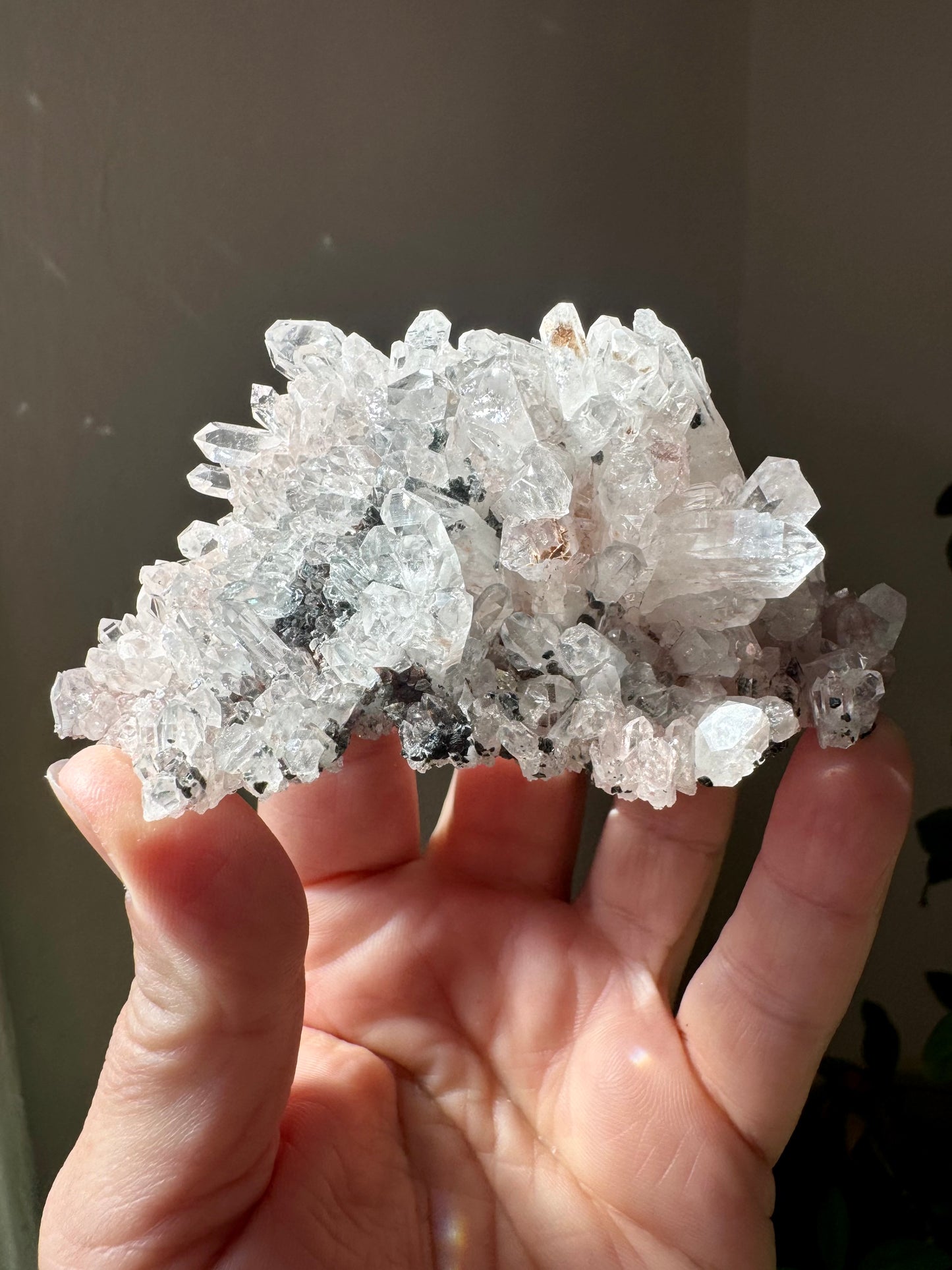 HIMALAYAN QUARTZ