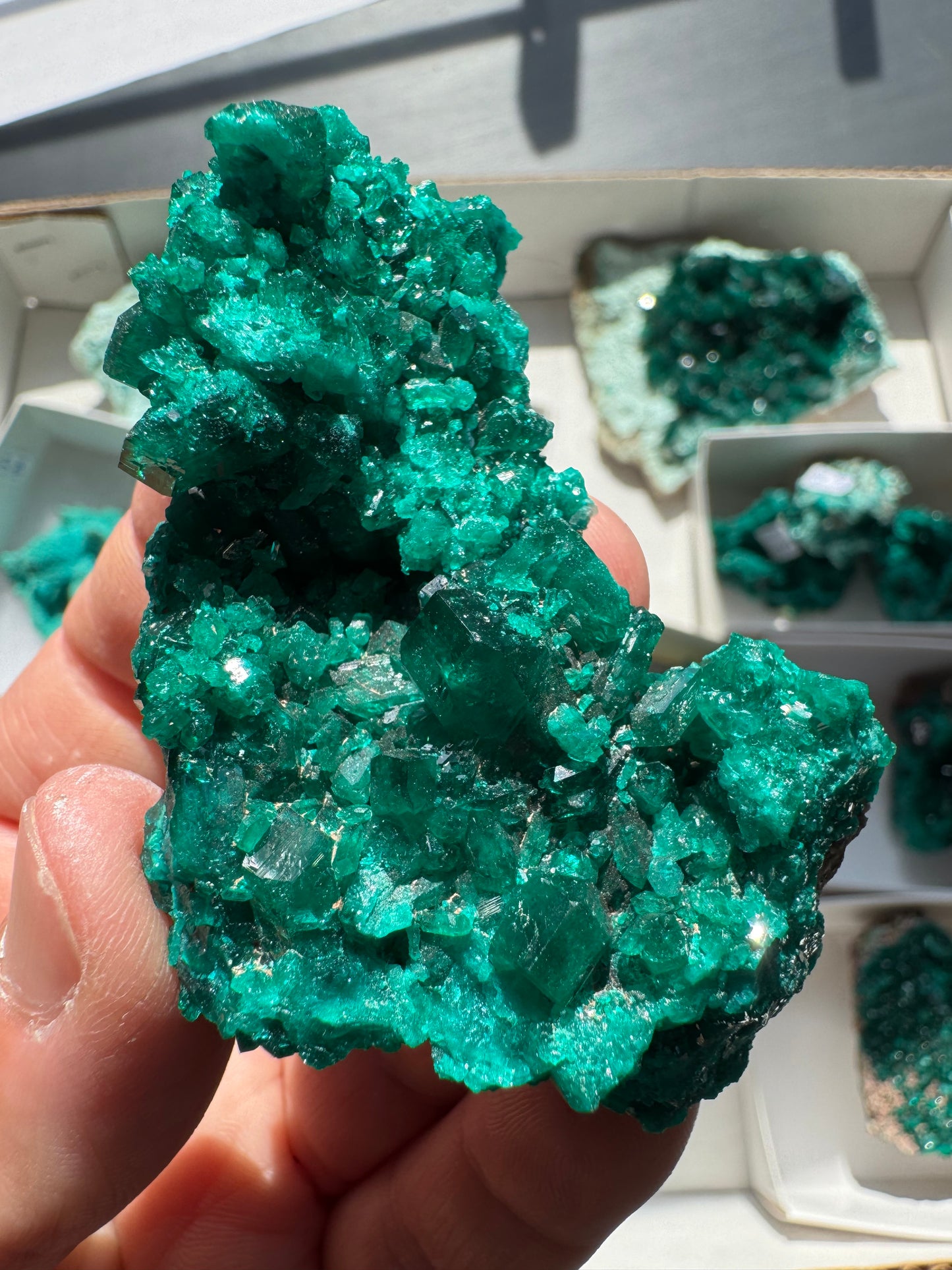 DIOPTASE (DI60)