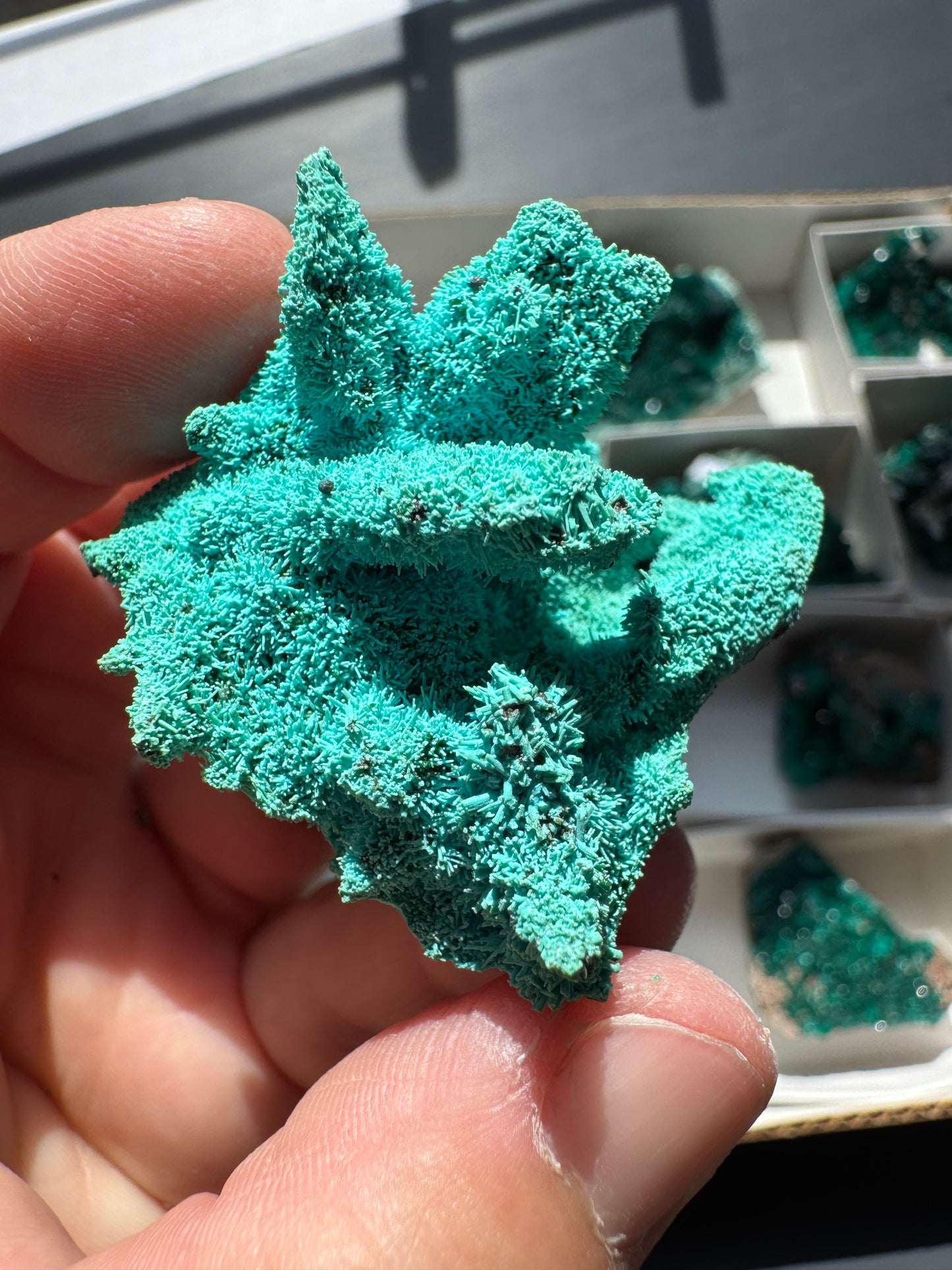 CHRYSOCOLLA PSEUDOMORPH (DI45)