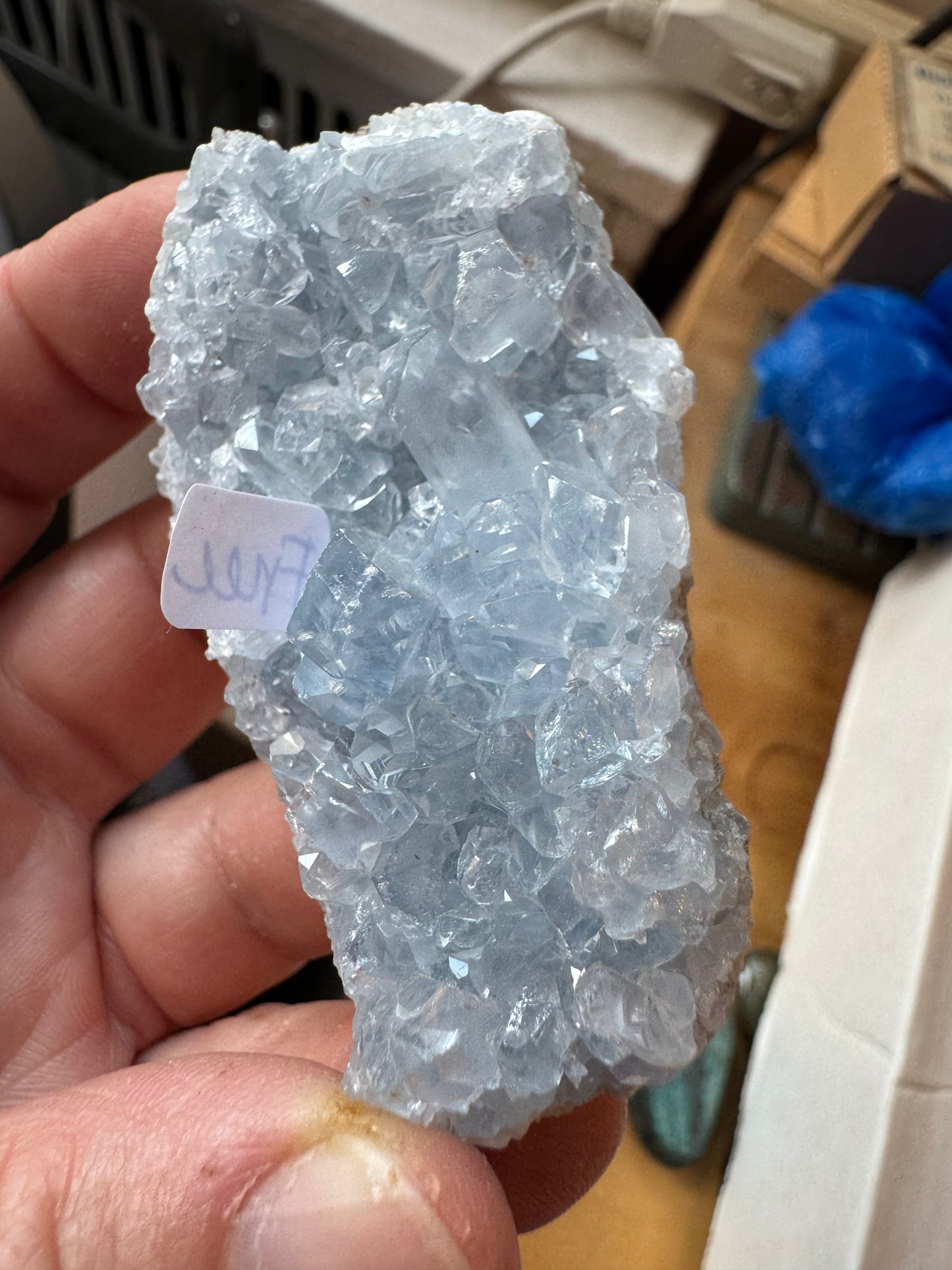 CELESTITE - FREE (A)