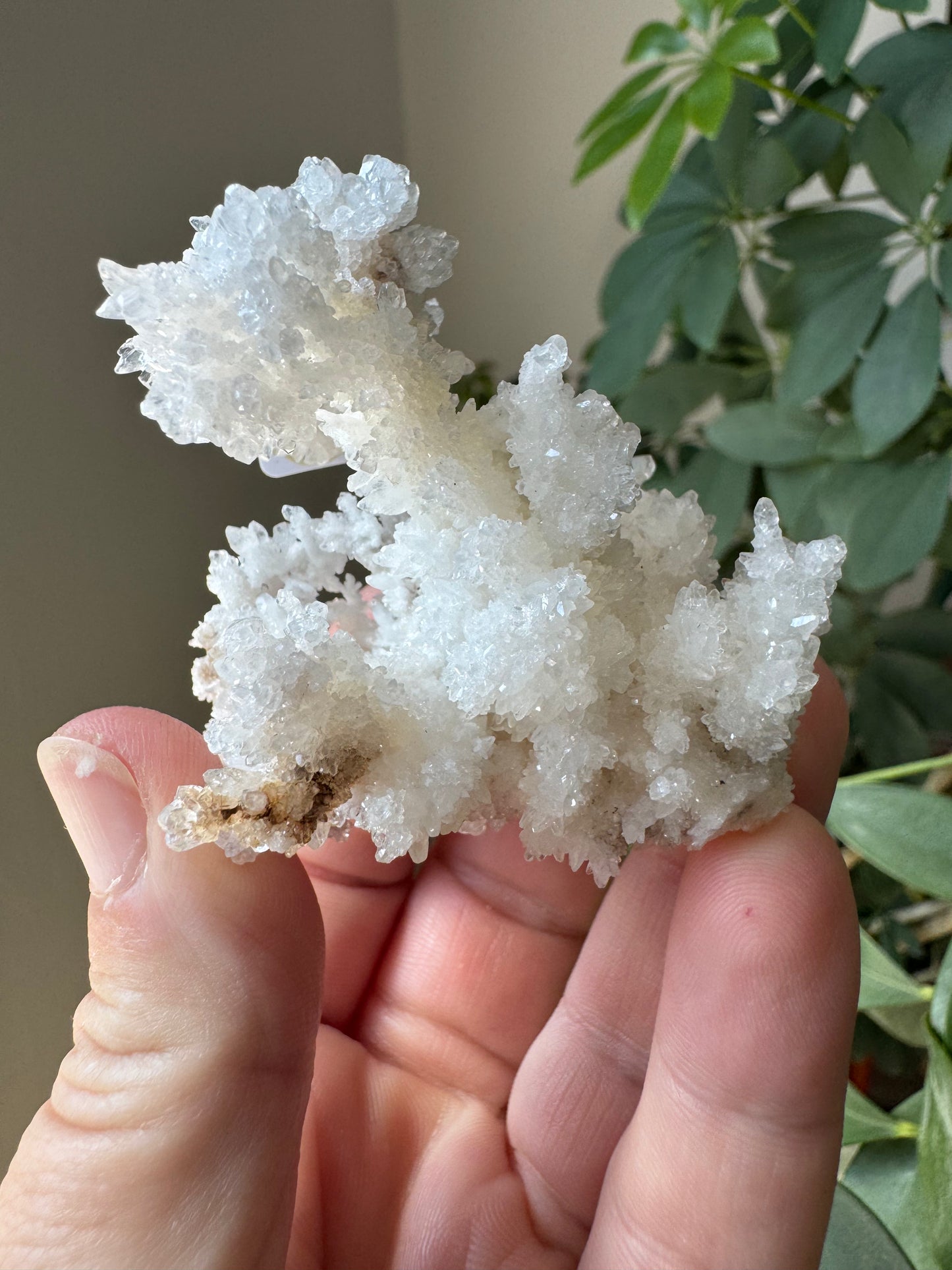 ARAGONITE (CA6)