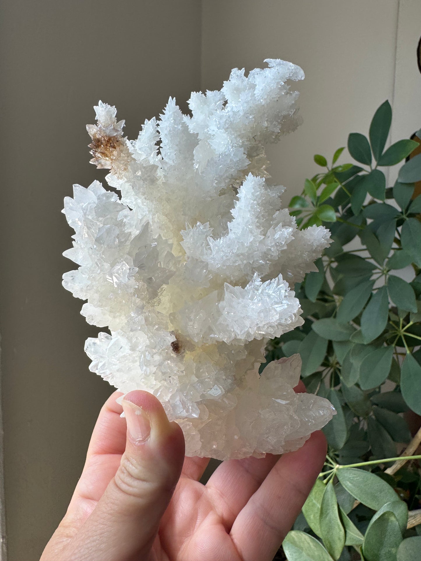 ARAGONITE (CA42)