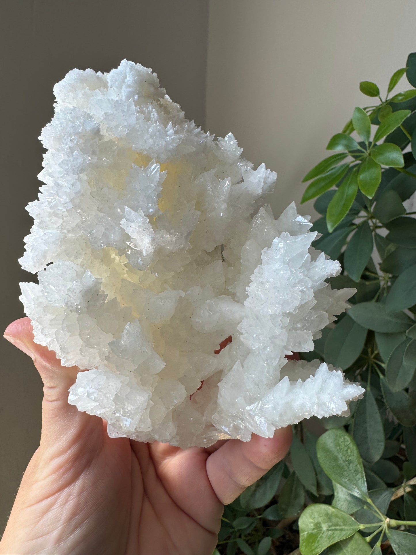 ARAGONITE (CA40)