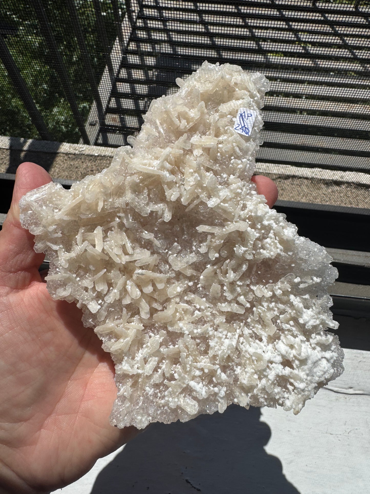 APOPHYLITE & STILBITE CRUSTS (DG24)
