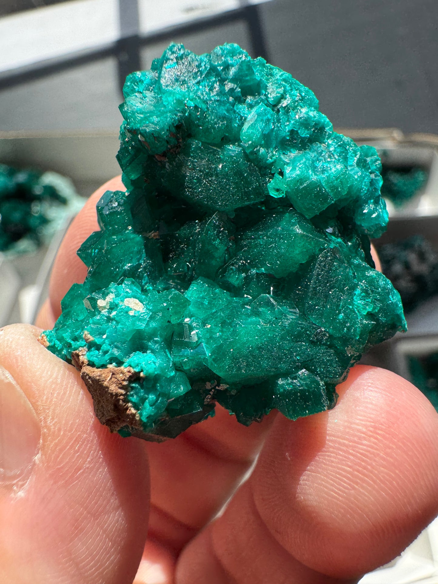 DIOPTASE (DI58)