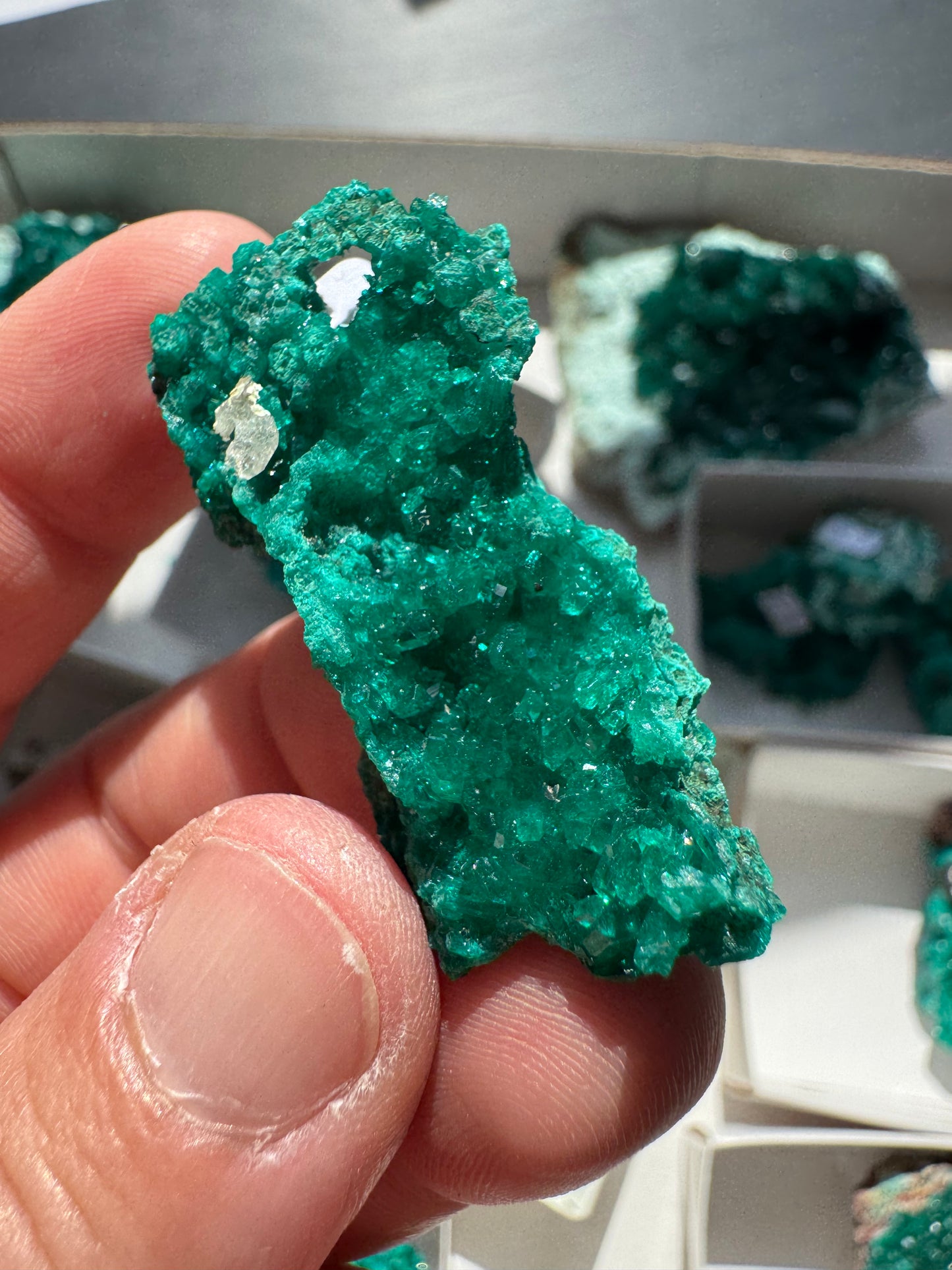 DIOPTASE (DI22)