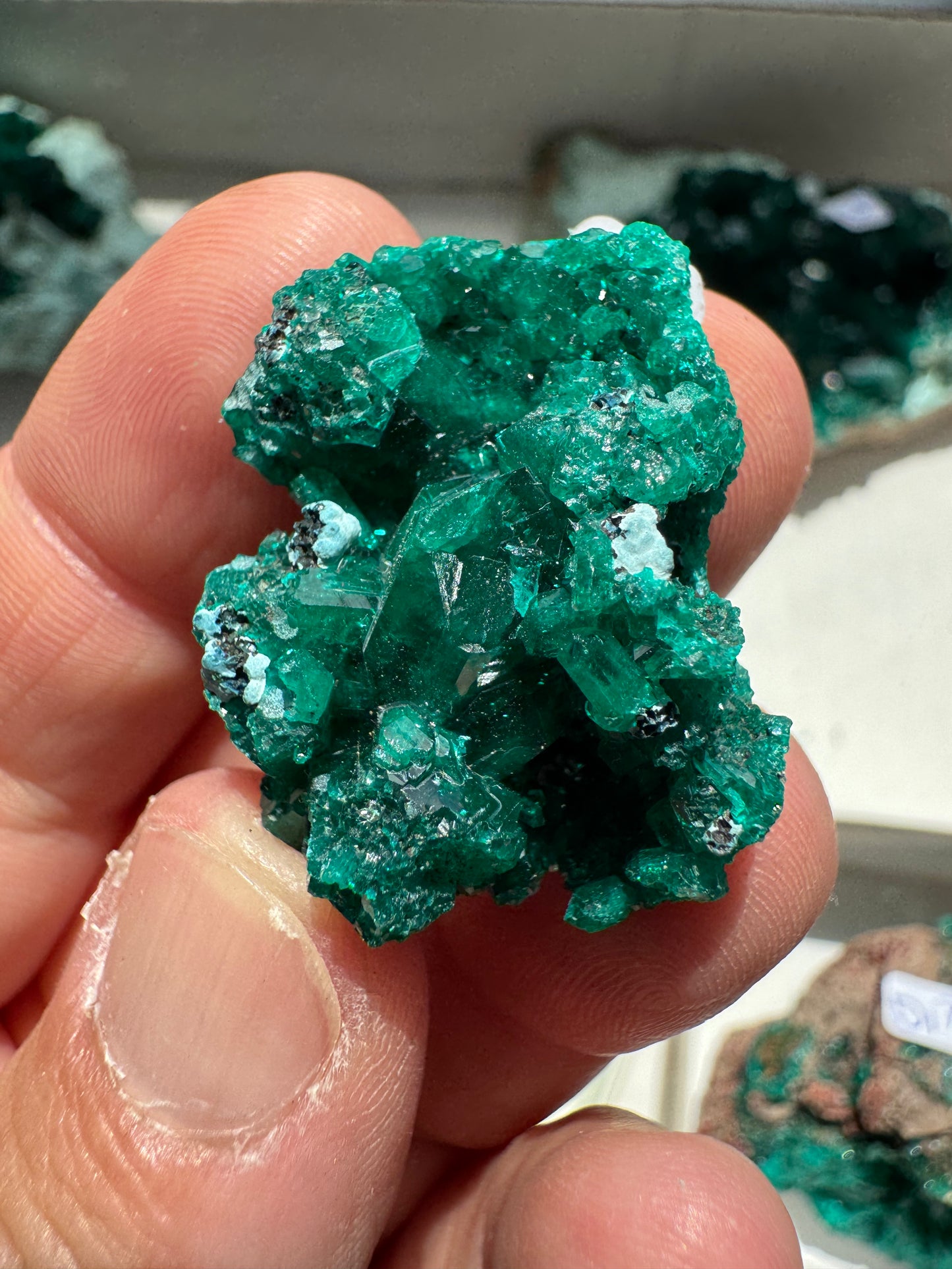 DIOPTASE (DI31)