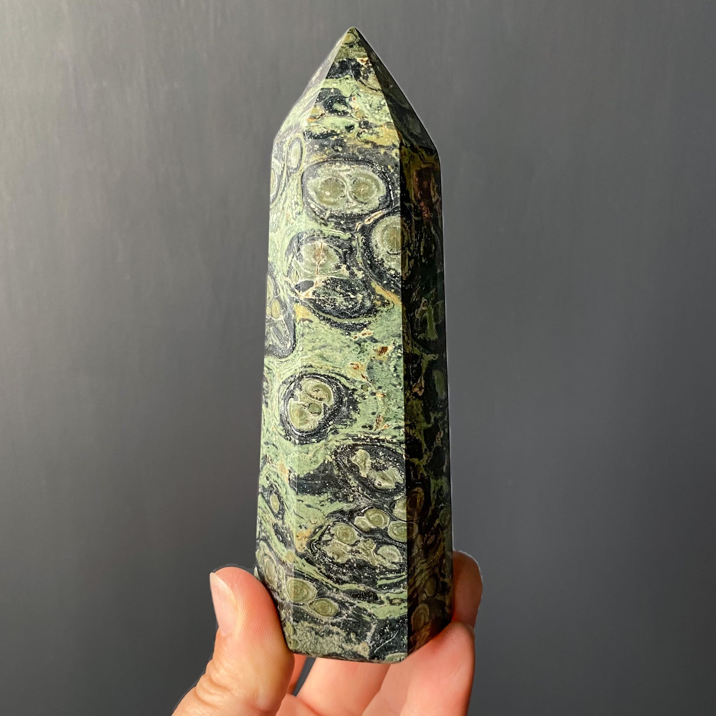 KAMBABA JASPER