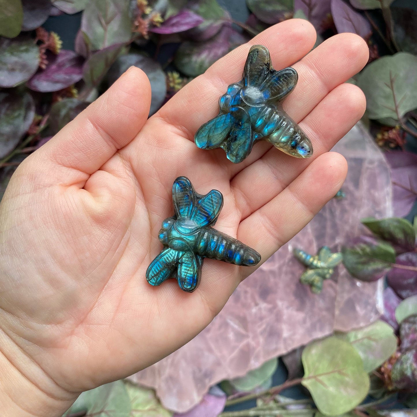 LABRADORITE DRAGONFLIES