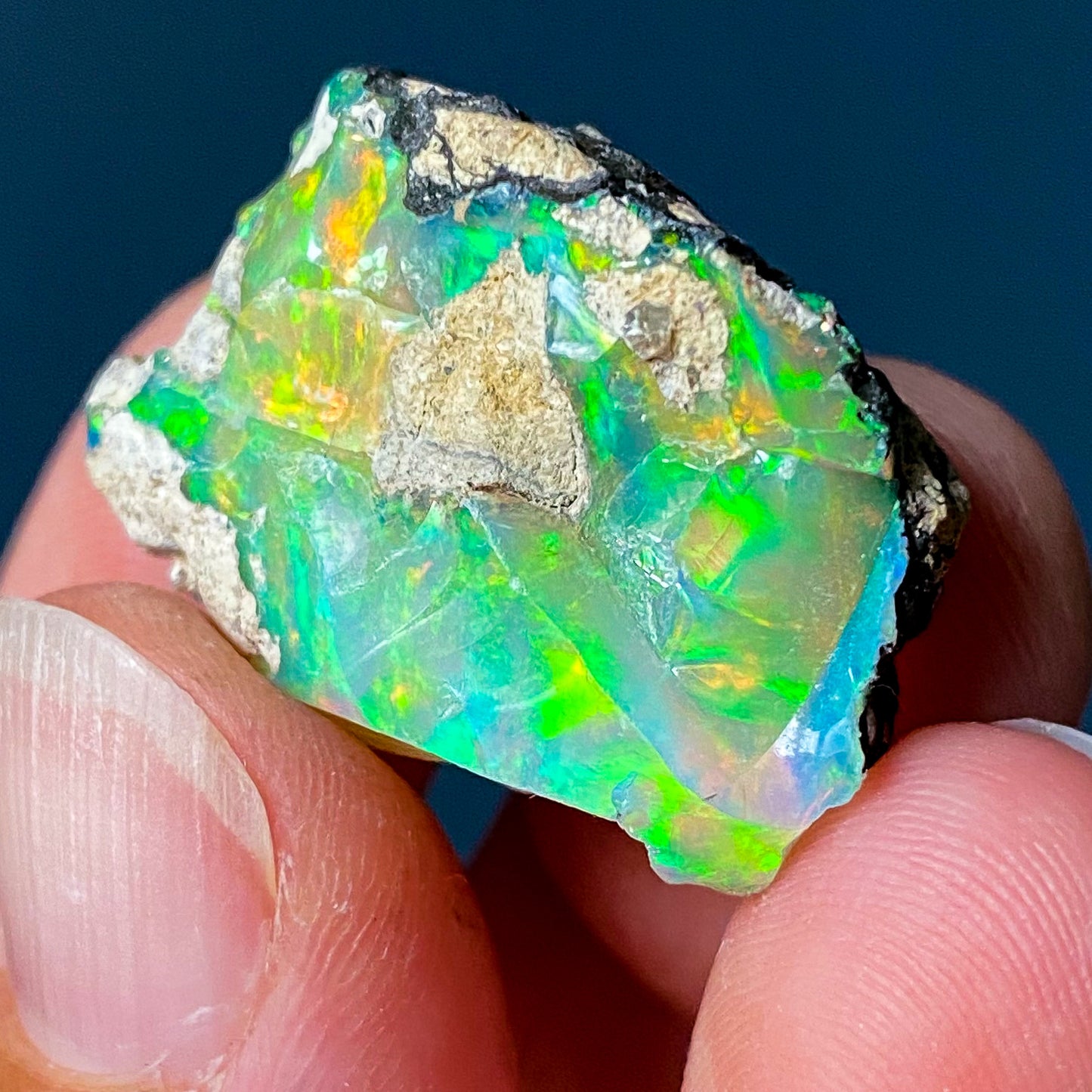 OPAL (ETHIOPIAN)