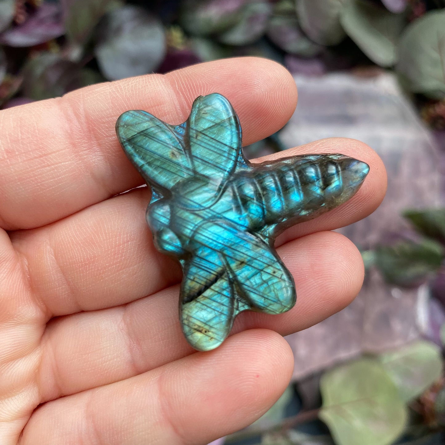 LABRADORITE DRAGONFLIES