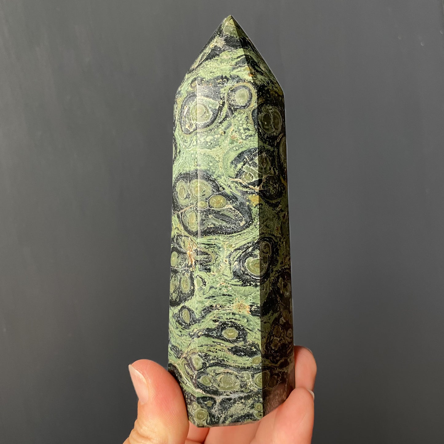 KAMBABA JASPER