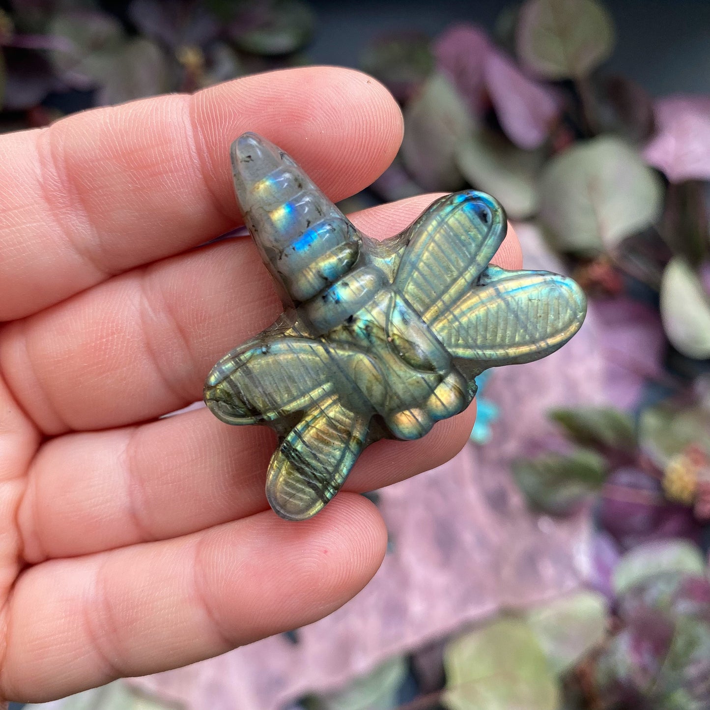 LABRADORITE DRAGONFLIES