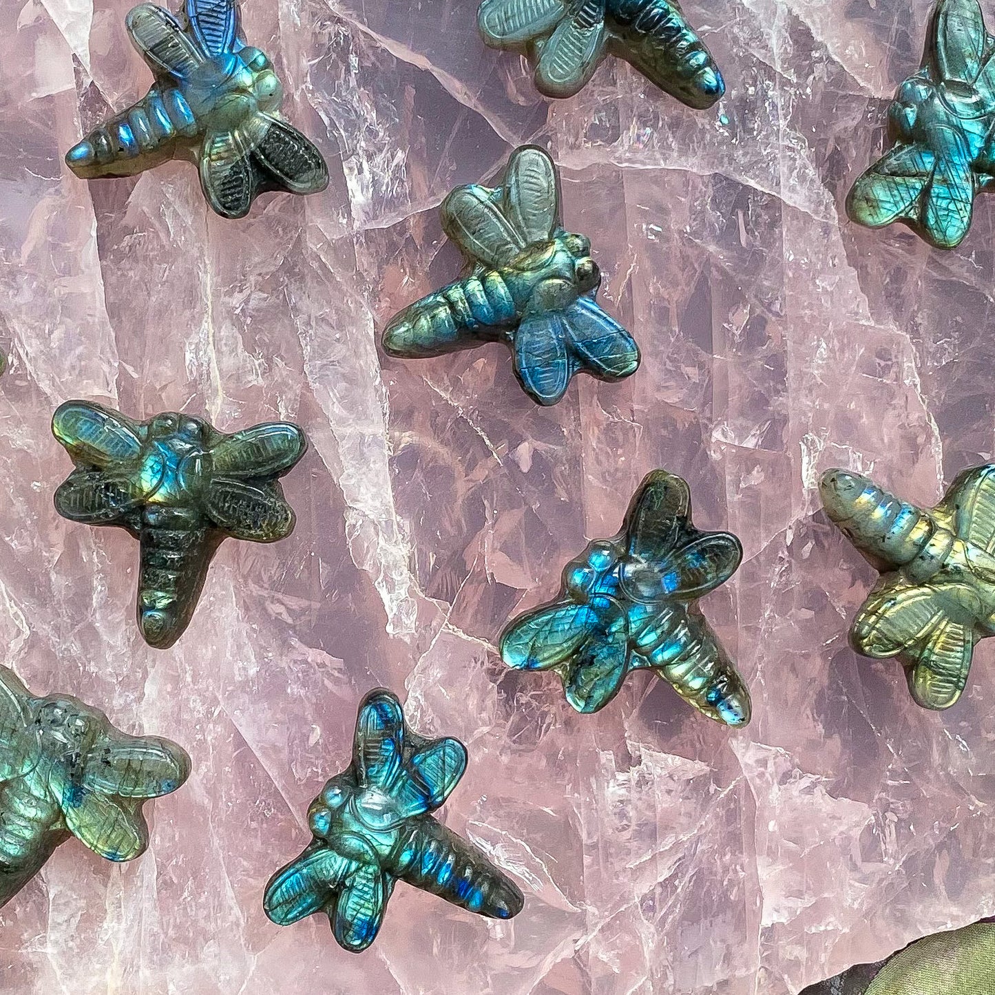 LABRADORITE DRAGONFLIES