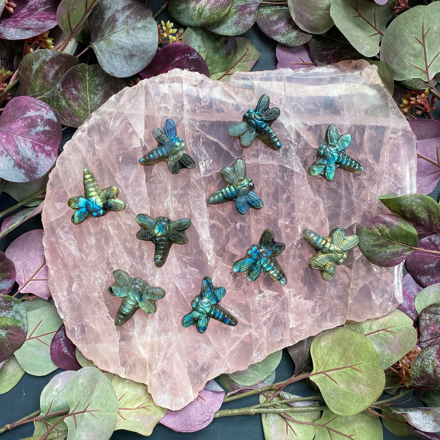 LABRADORITE DRAGONFLIES