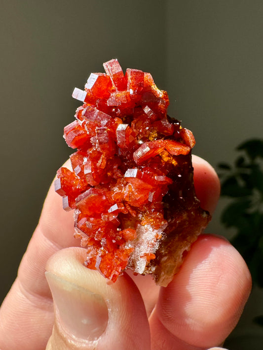 VANADINITE LITTLES