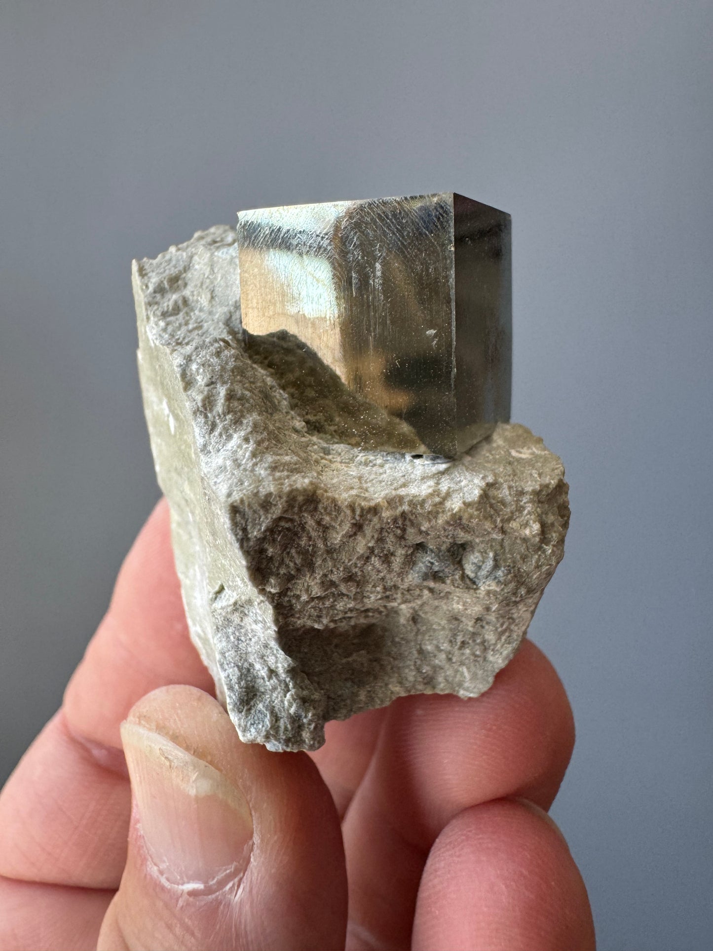 MEDIUM PYRITE ON MATRIX