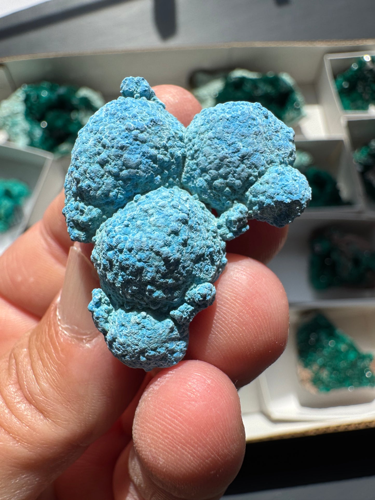 SHATTUCKITE (DI50)