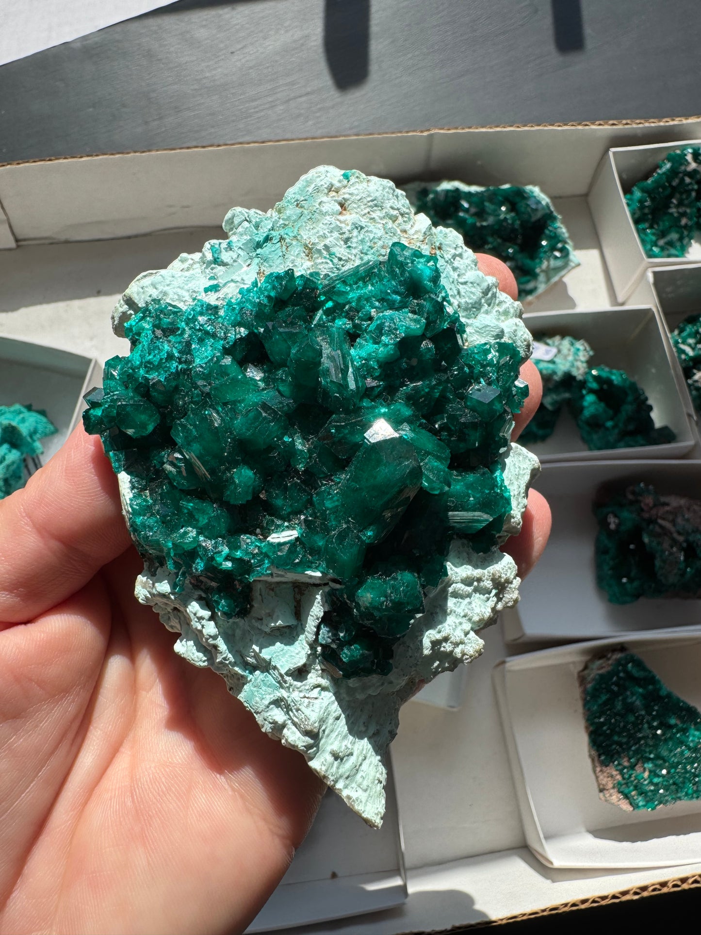 DIOPTASE (DI240)