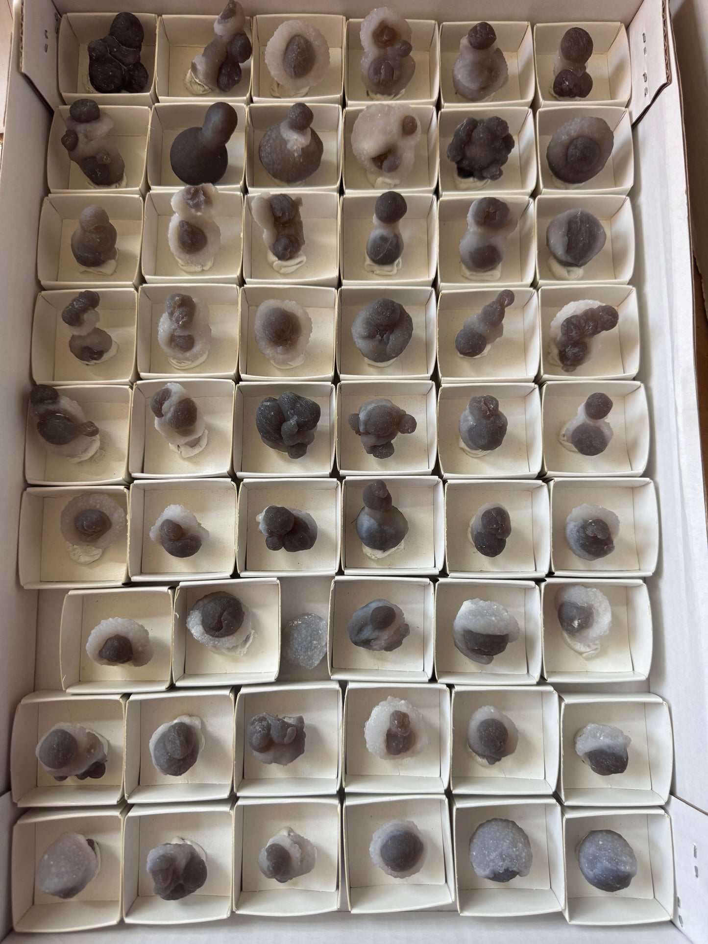 FREE FLAT THREE - CHALCEDONY POOPS