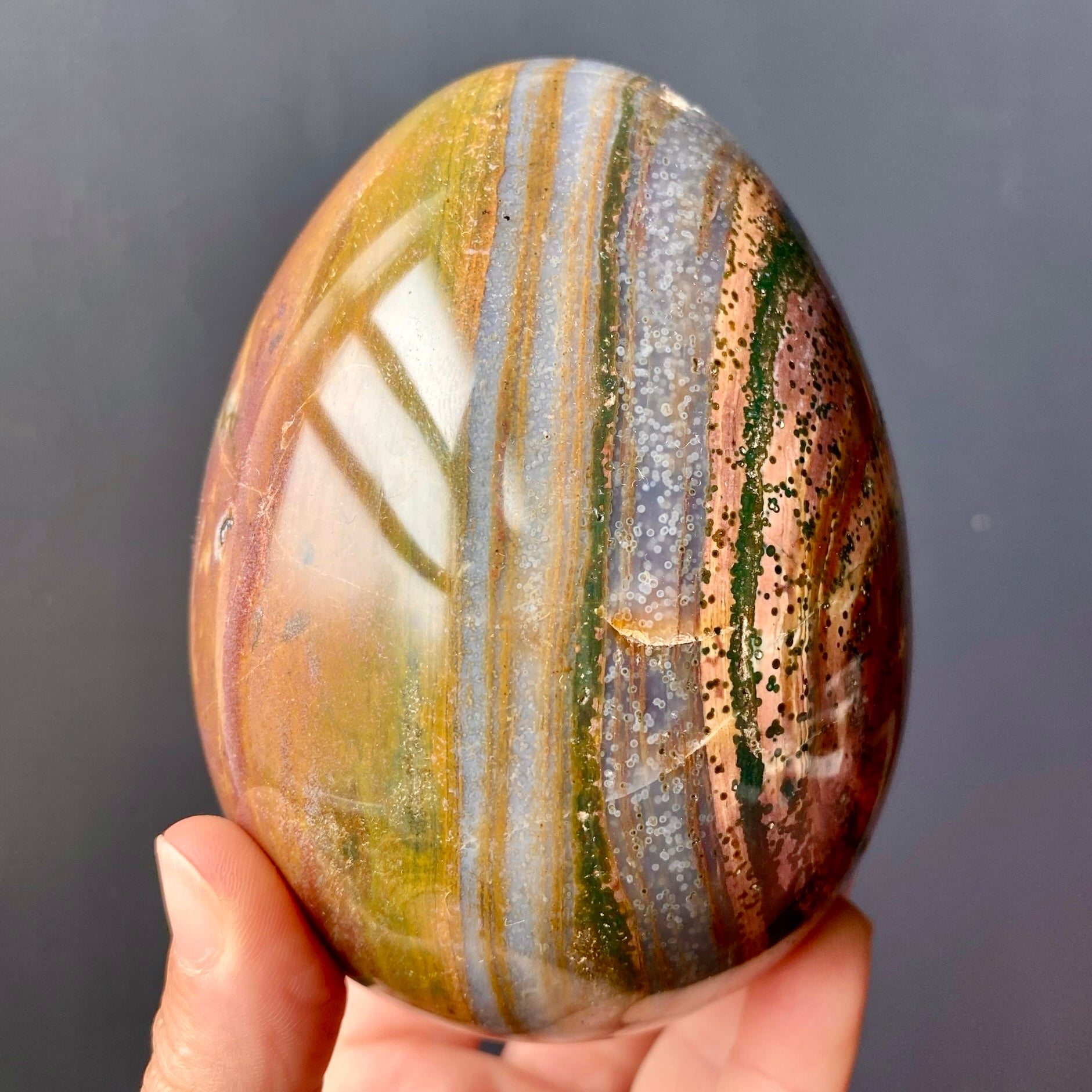 JASPER EGG