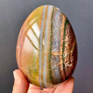 JASPER EGG