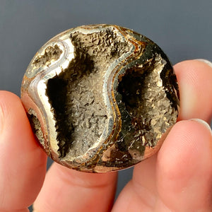 AMMONITE FOSSIL (PYRITIZED)