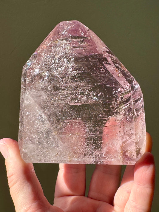LILAC AMETHYST (ROSE DE FRANCE)