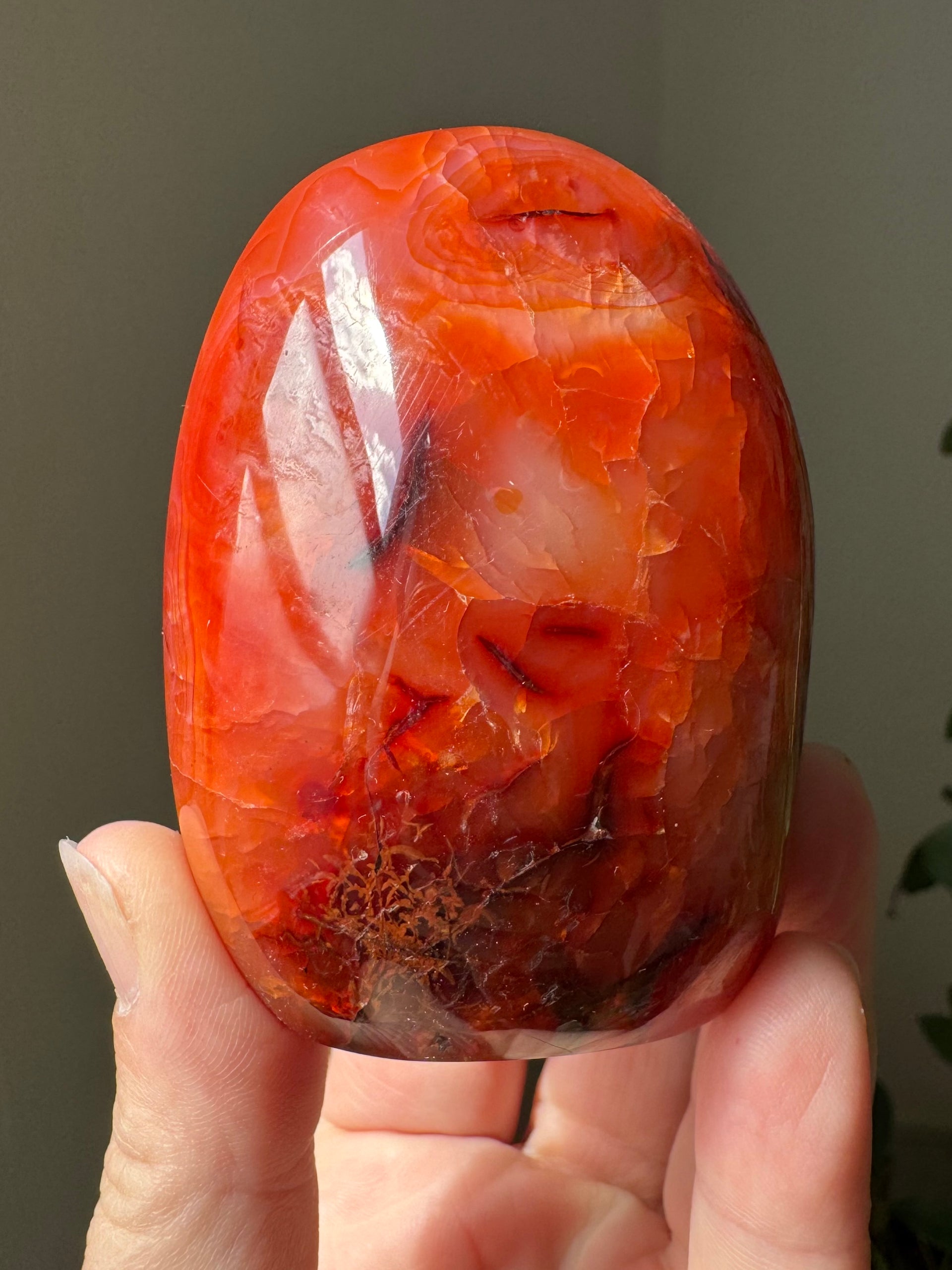 CARNELIAN FREEFORM
