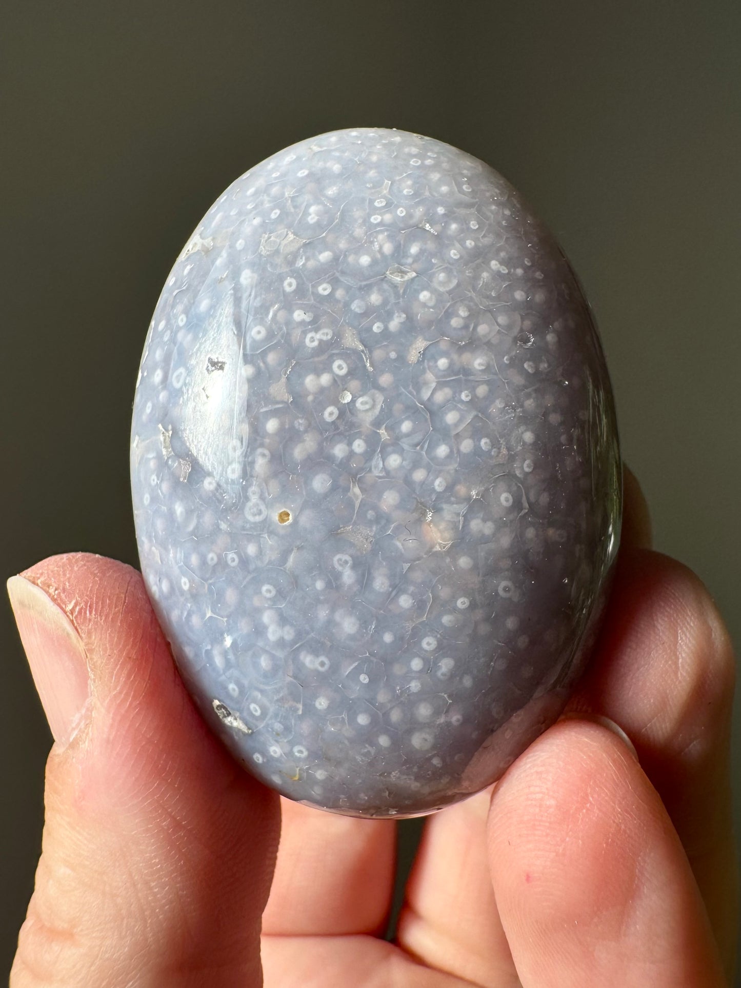 CHALCEDONY PALM STONE