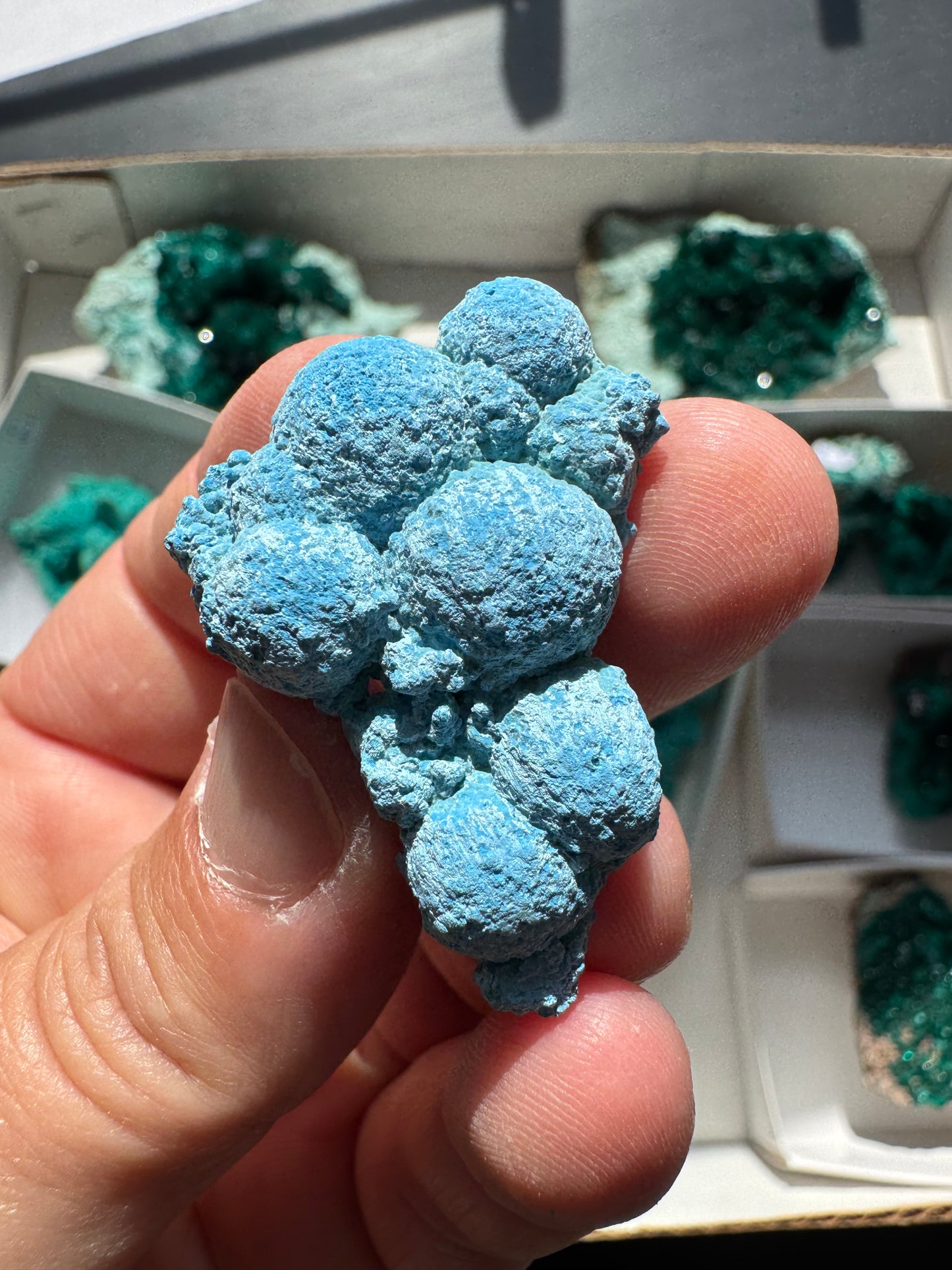 SHATTUCKITE (SI48)