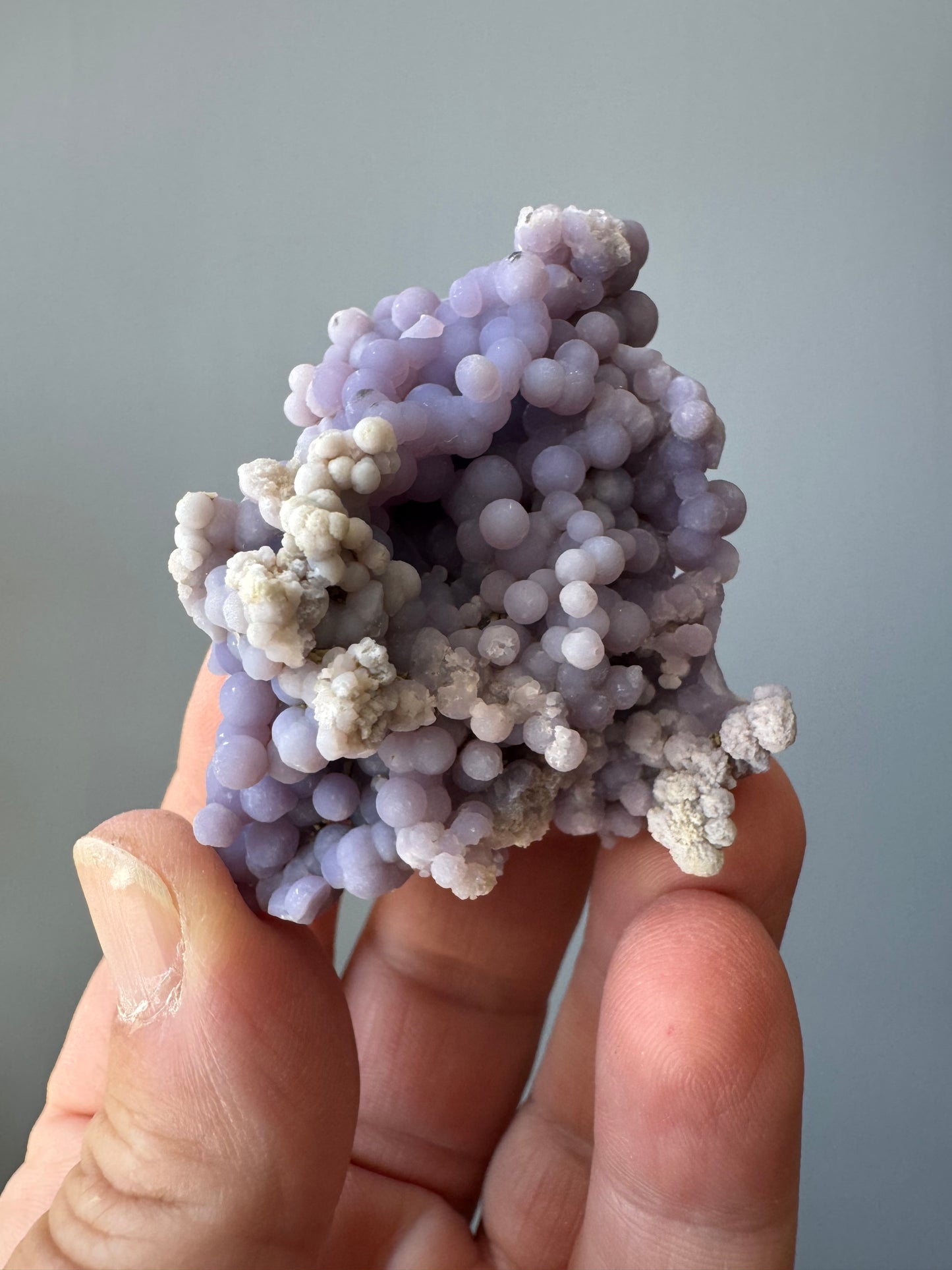 GRAPE AGATE (CI20)