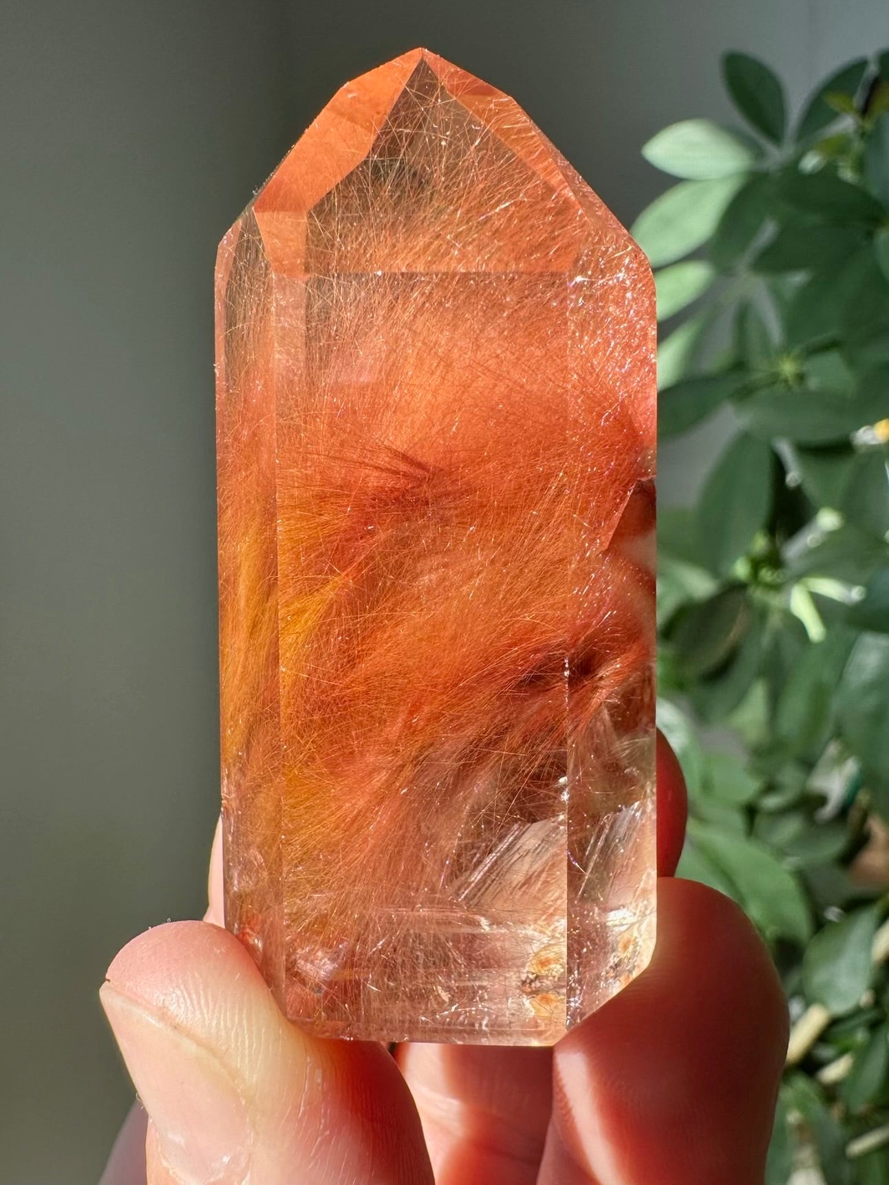 RUTILATED AMPHIBOLE QUARTZ POINT