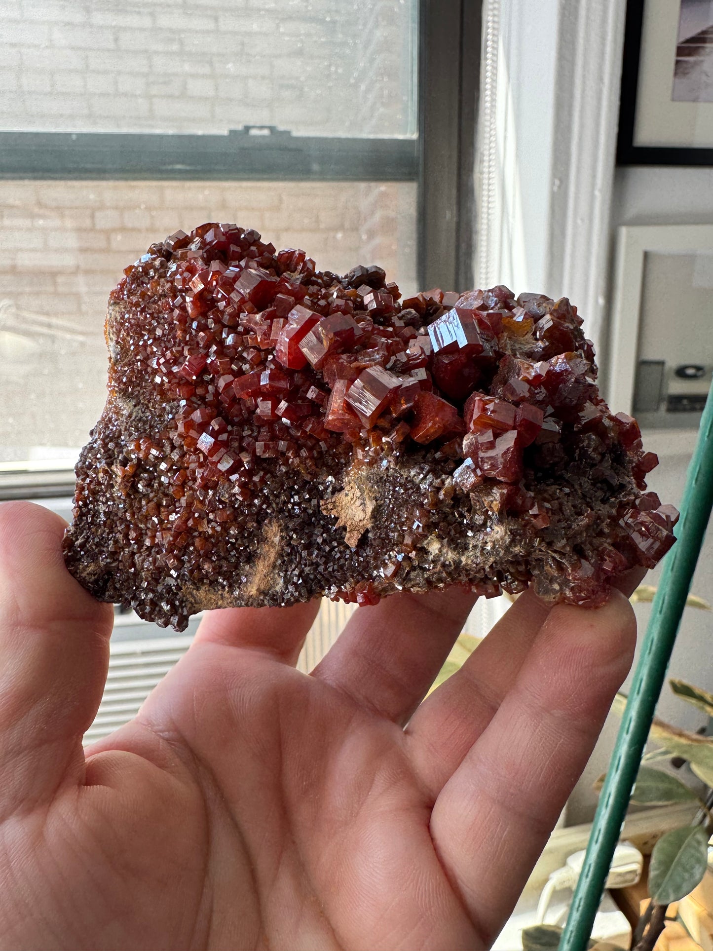 VANADINITE (CG55)