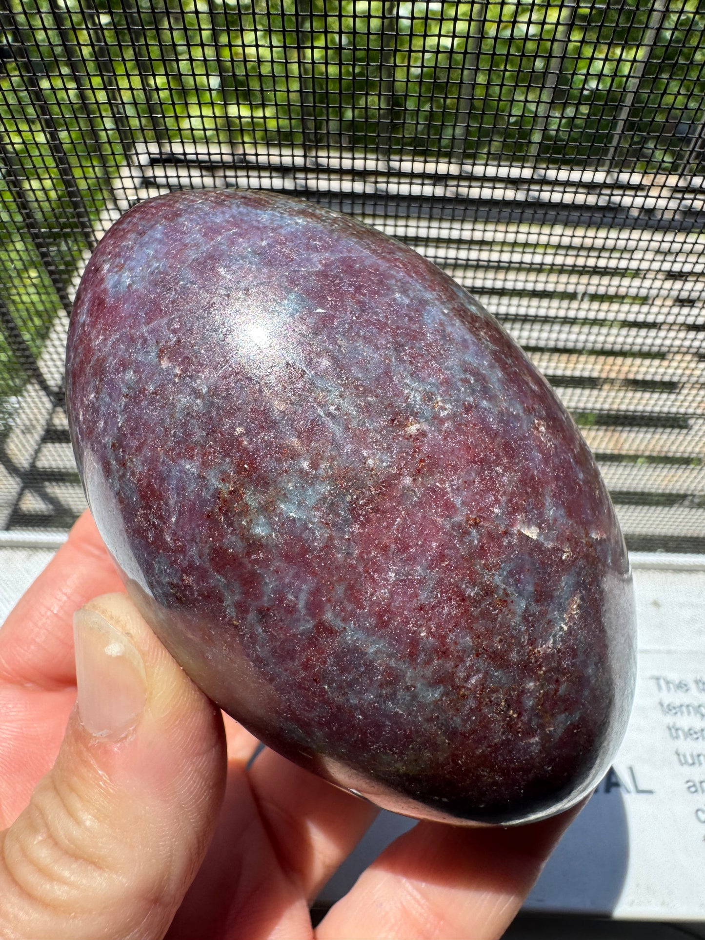 RUBY IN KYANITE SHIVA (BN40)