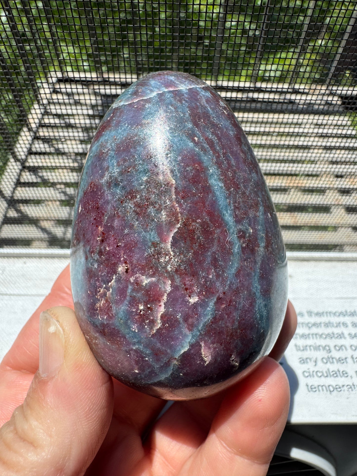 RUBY IN KYANITE EGG (BP30)