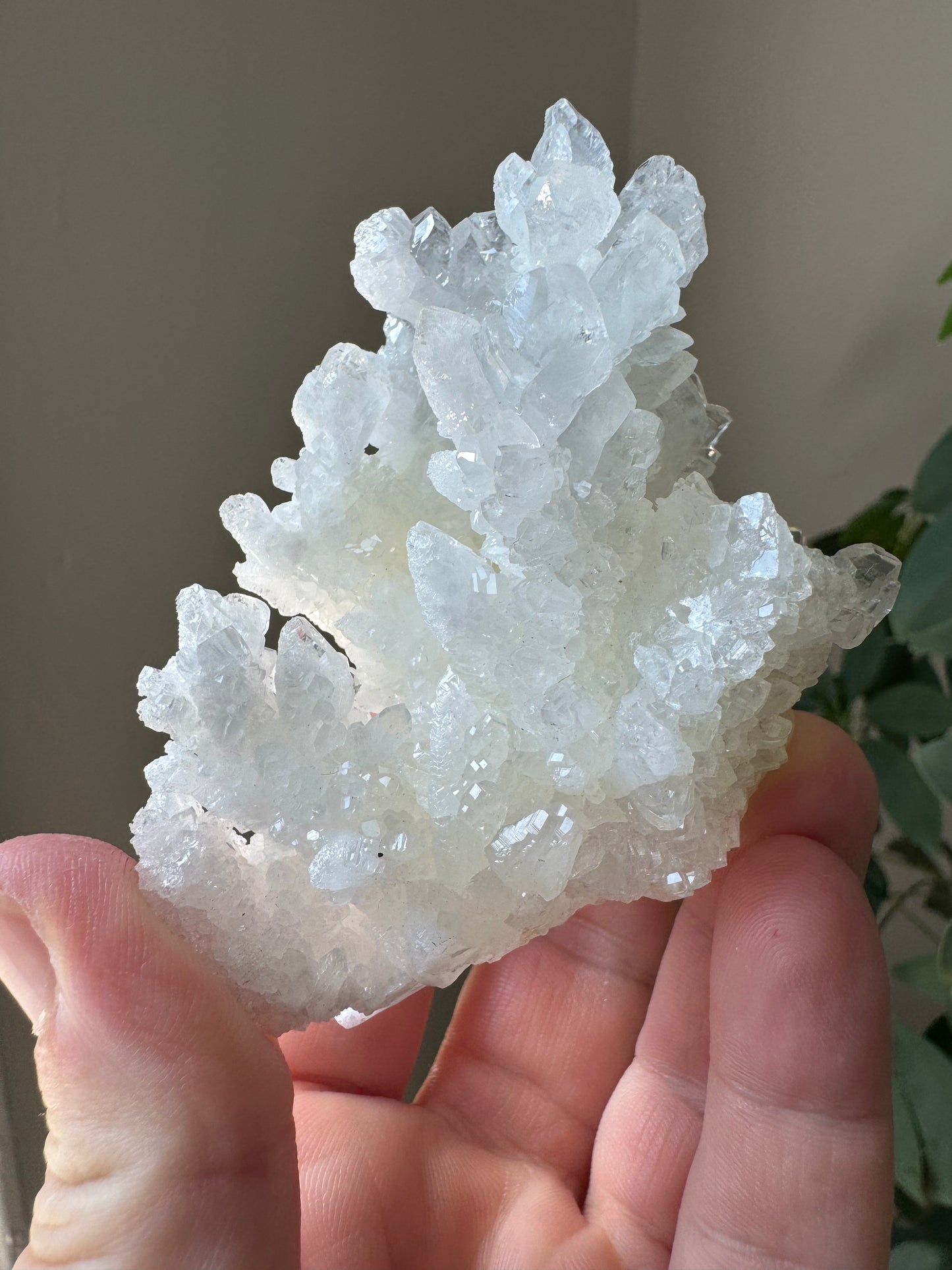 ARAGONITE (CA10)