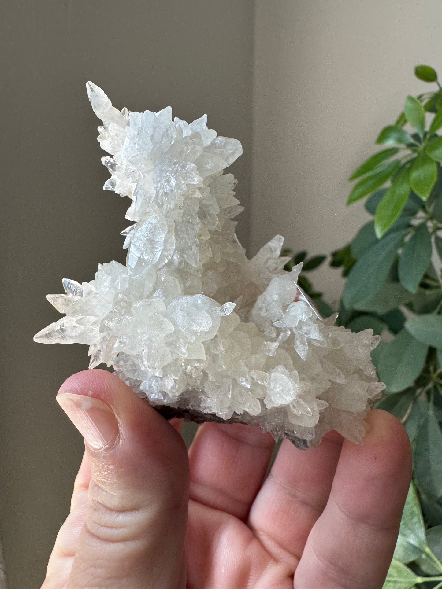 ARAGONITE (CA8)