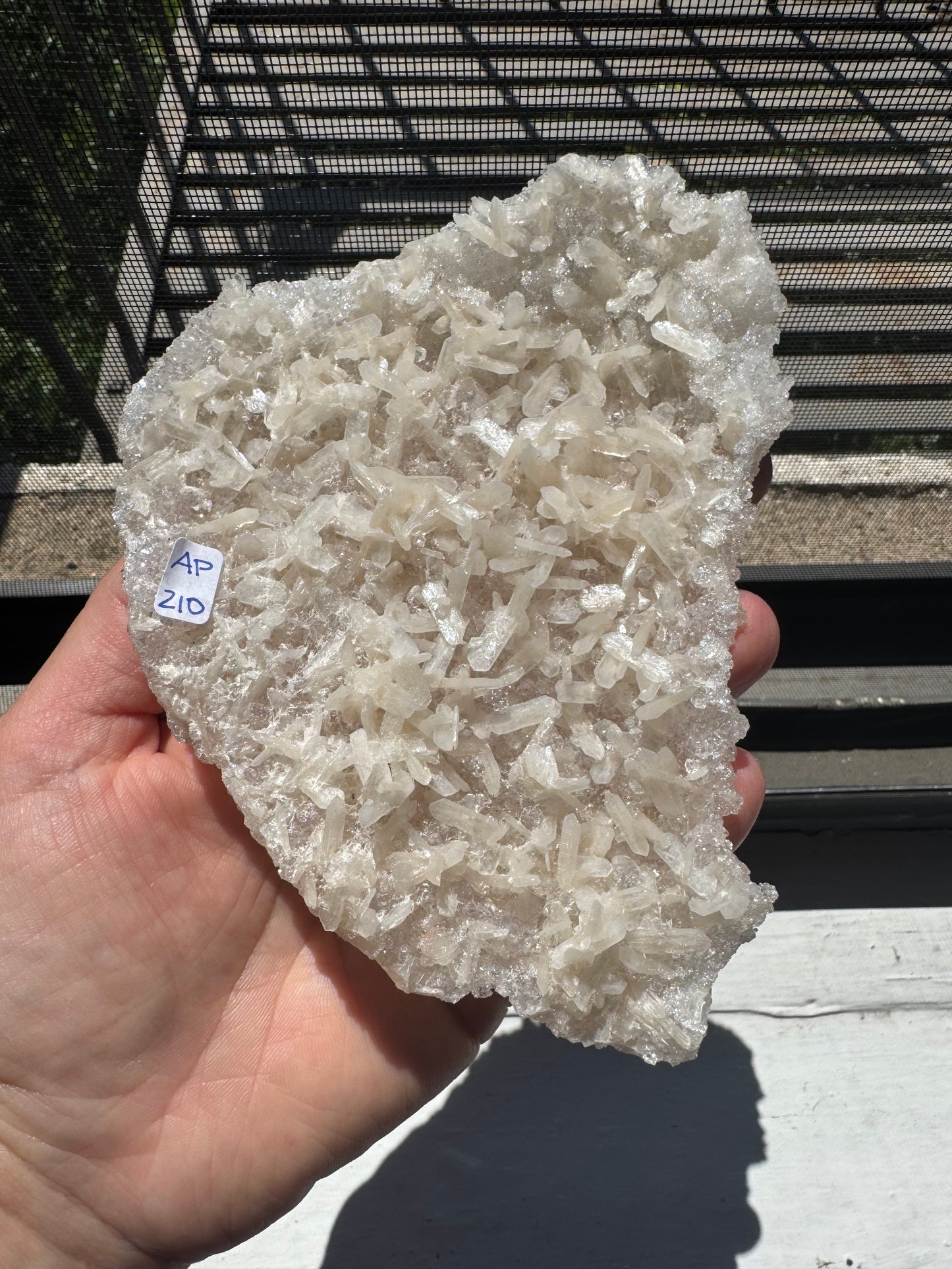 APOPHYLITE & STILBITE CRUST (DG20)