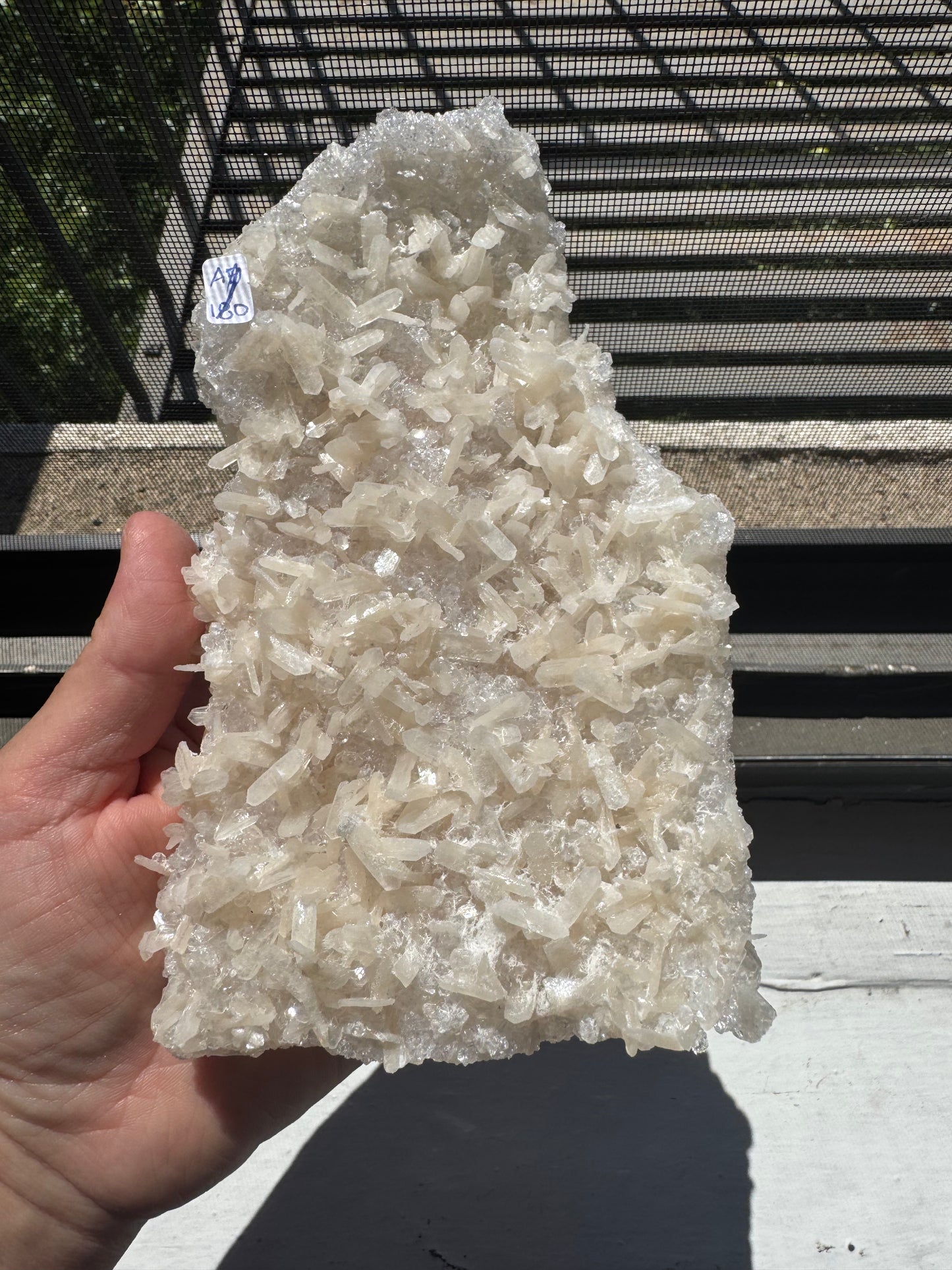 APOPHYLITE & STILBITE CRUST (DG25)
